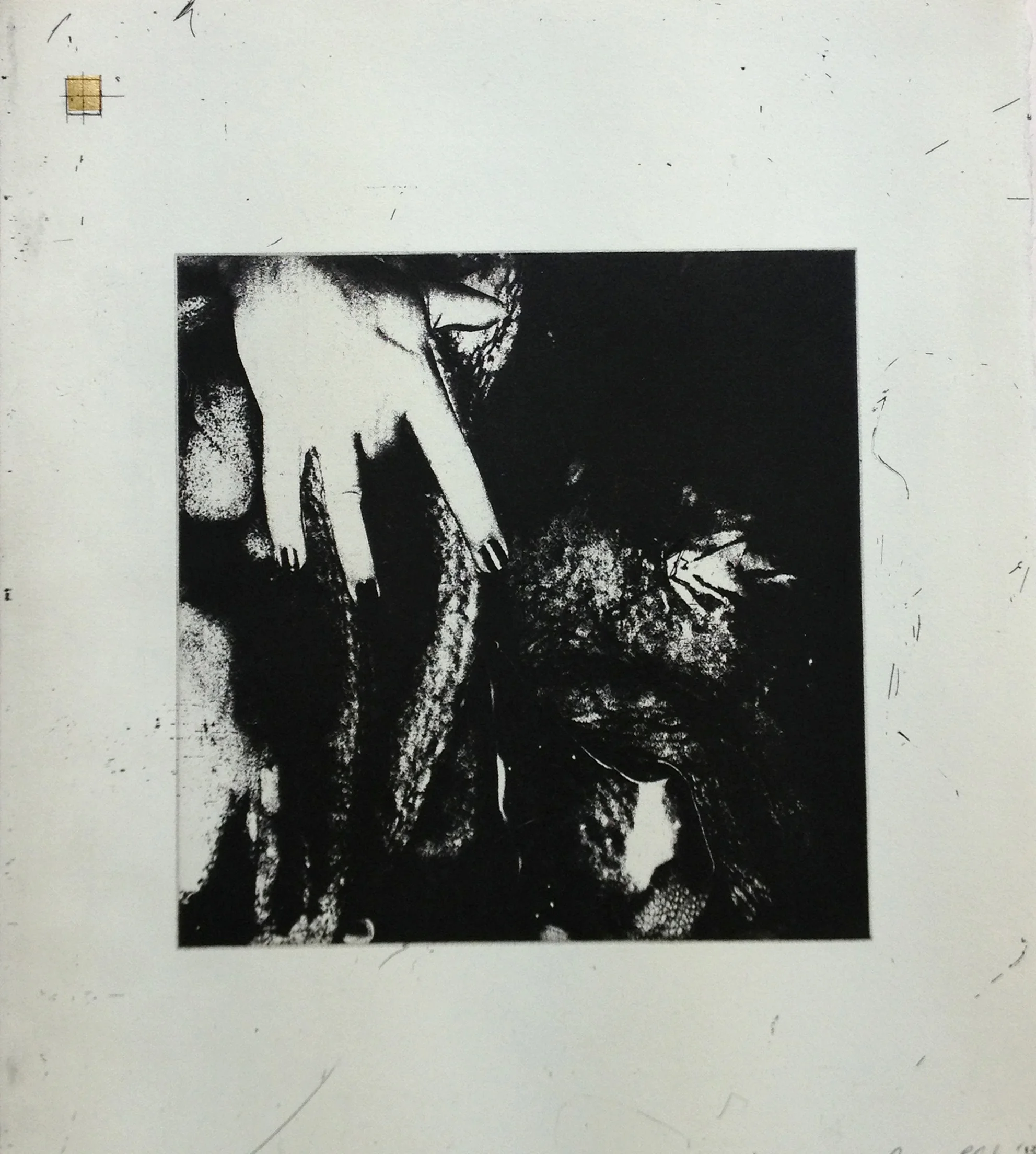 Cervix Uteri, Etching with golf leaf