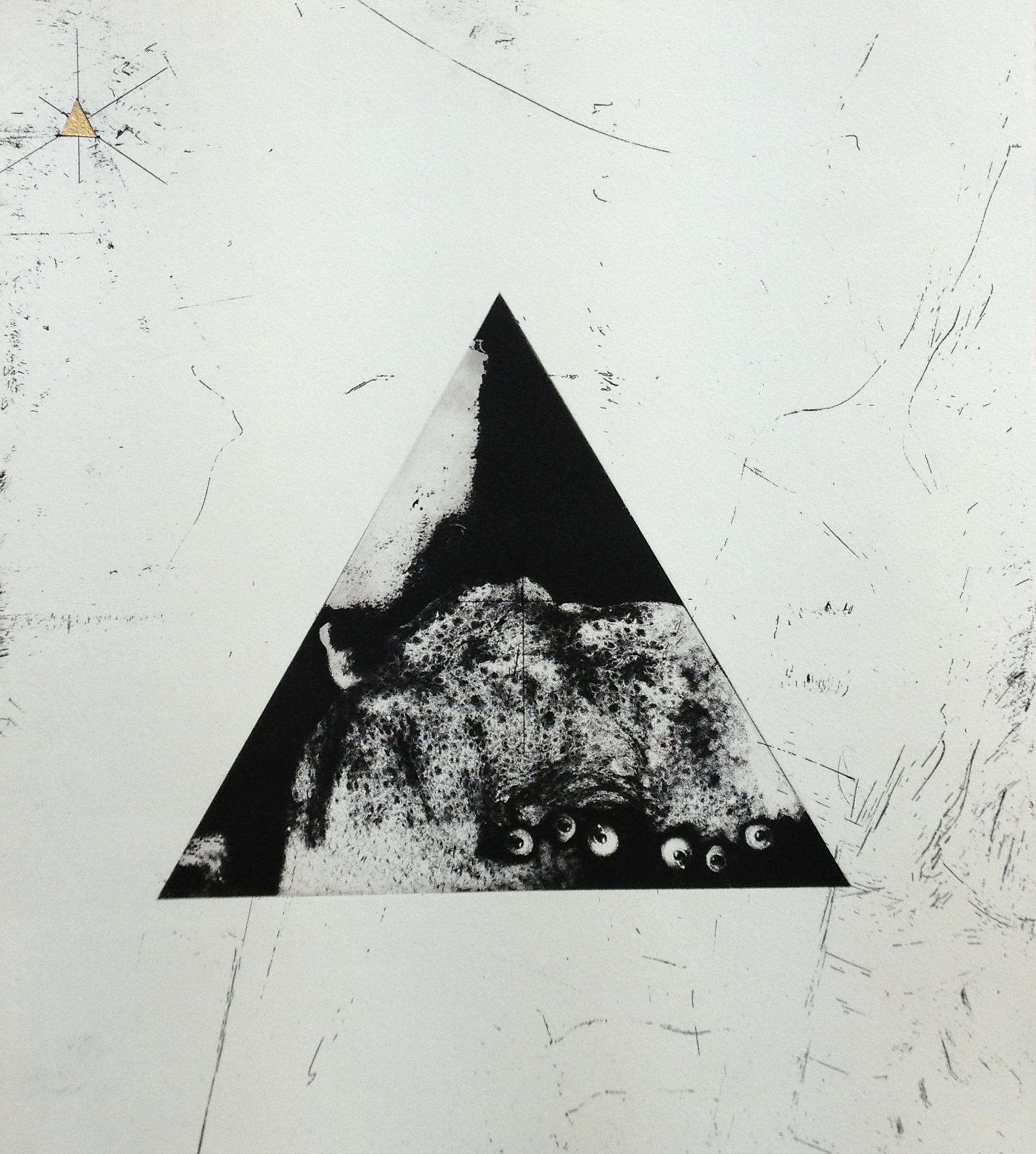 Fenestra, Etching with golf leaf