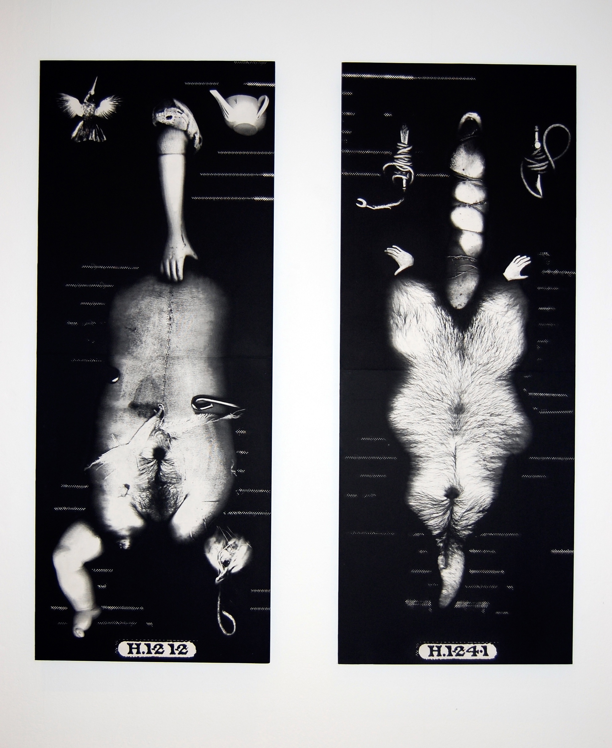 Specimens, Steel plate Etching Dyptych