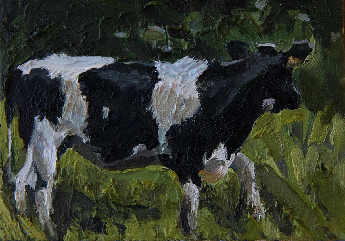 Patchy Cow, 2016. Oil on Board