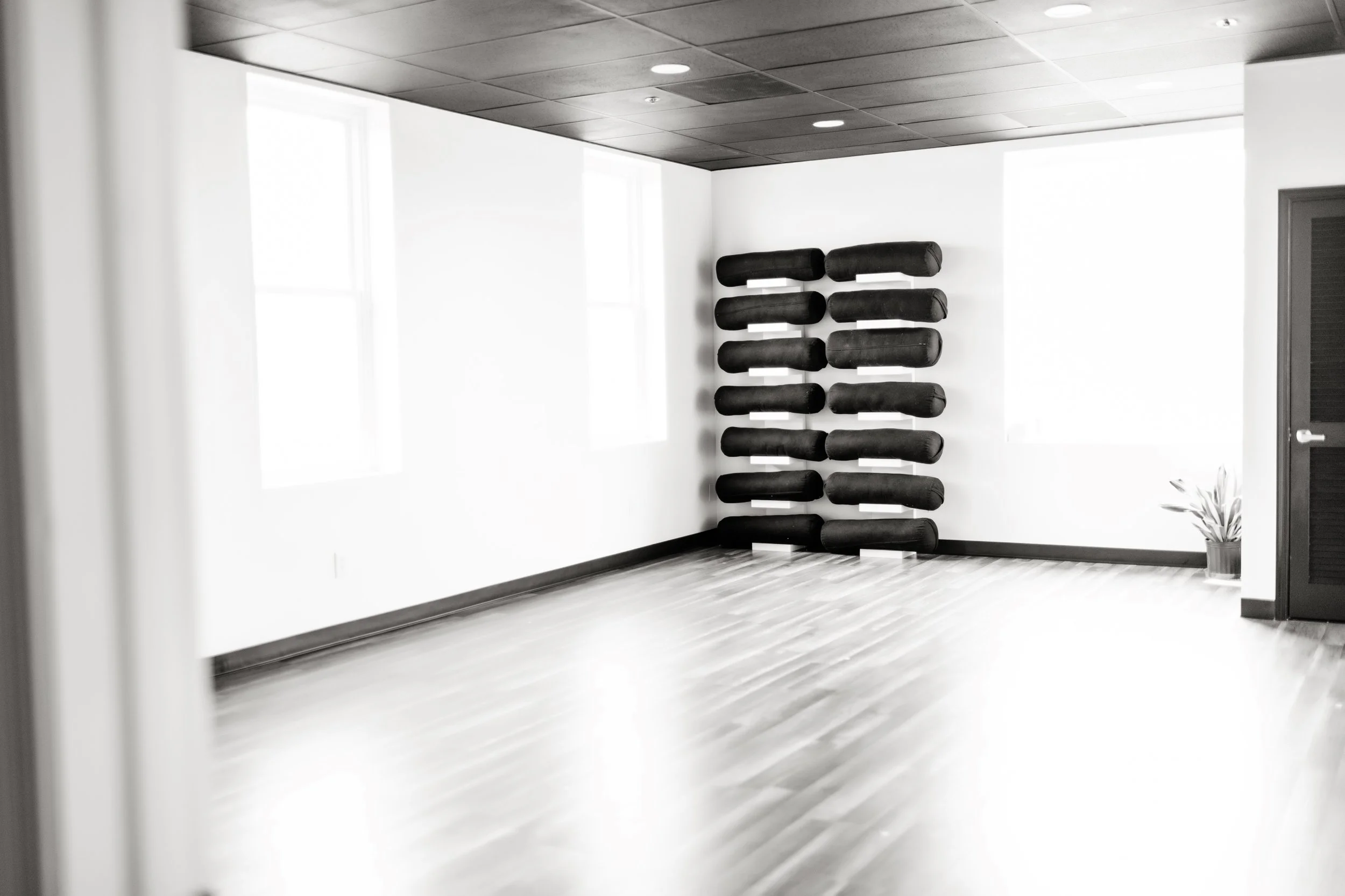 Empty room with white walls, wooden floor, black ceiling, and a black wall-mounted shoe rack on the back wall filled with black shoes. There is a door on the right side and a potted plant in the corner.