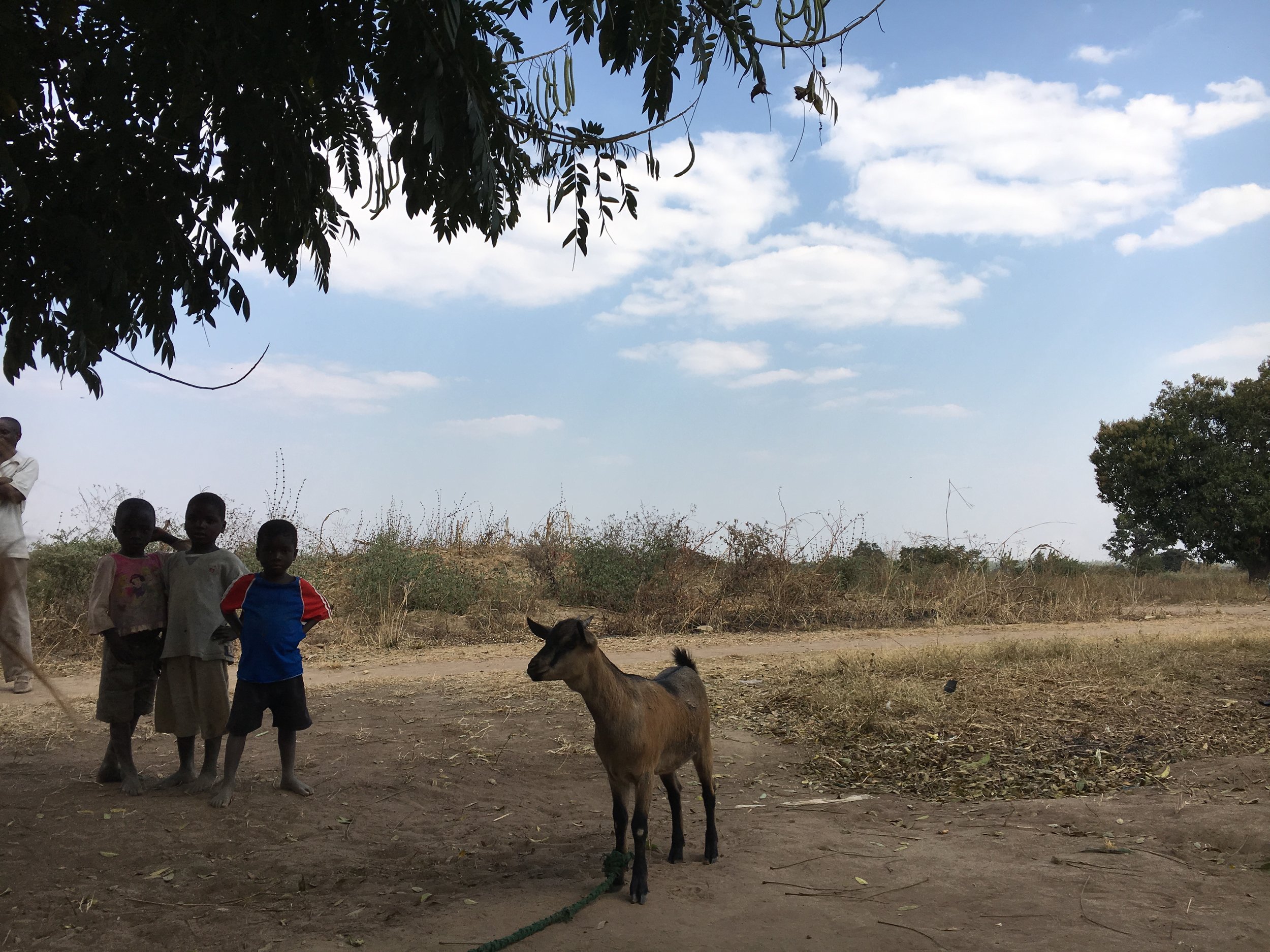 a group of children in the second village we visited, Mchinji District