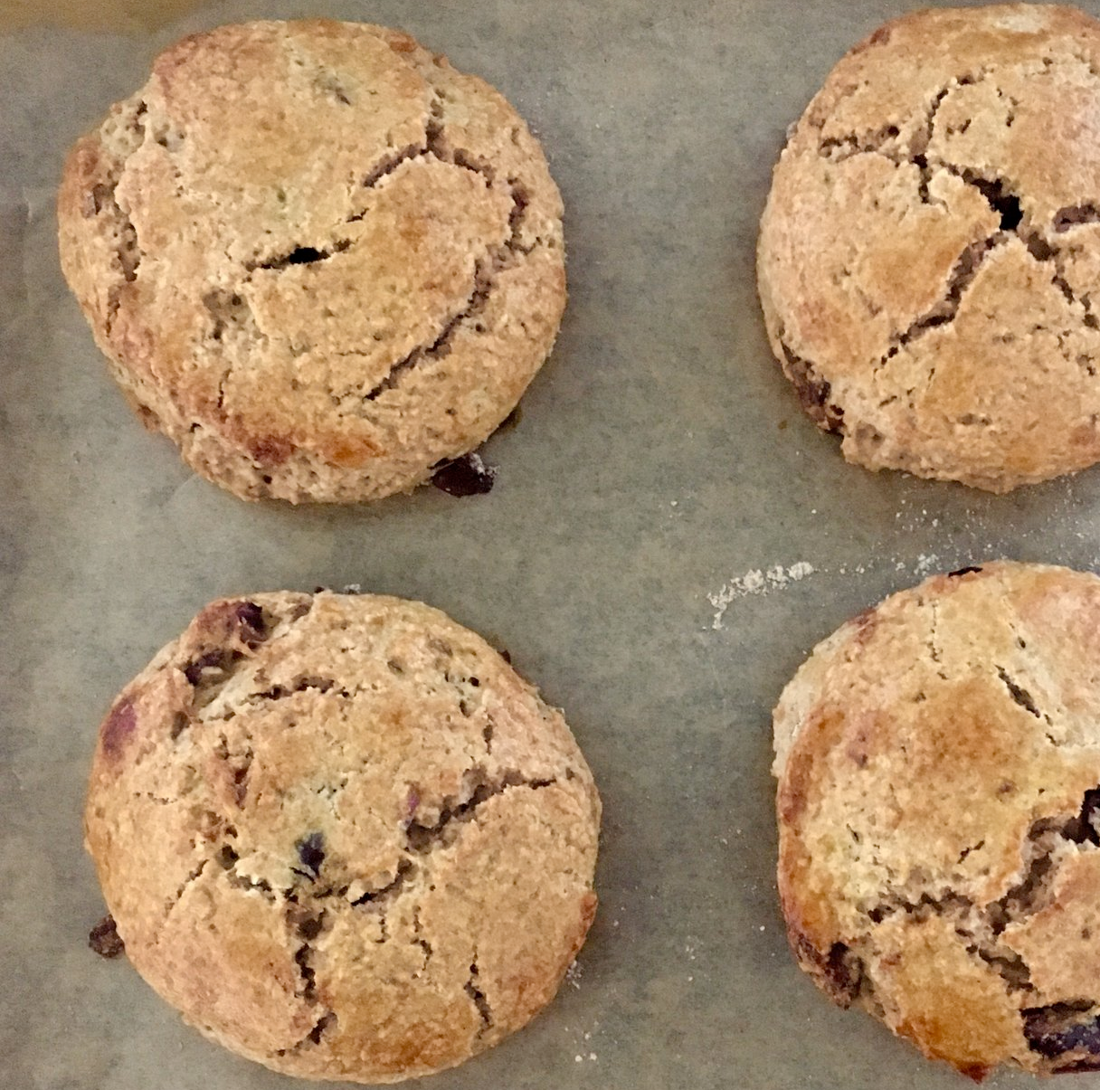 Leftover sourdough and date scones