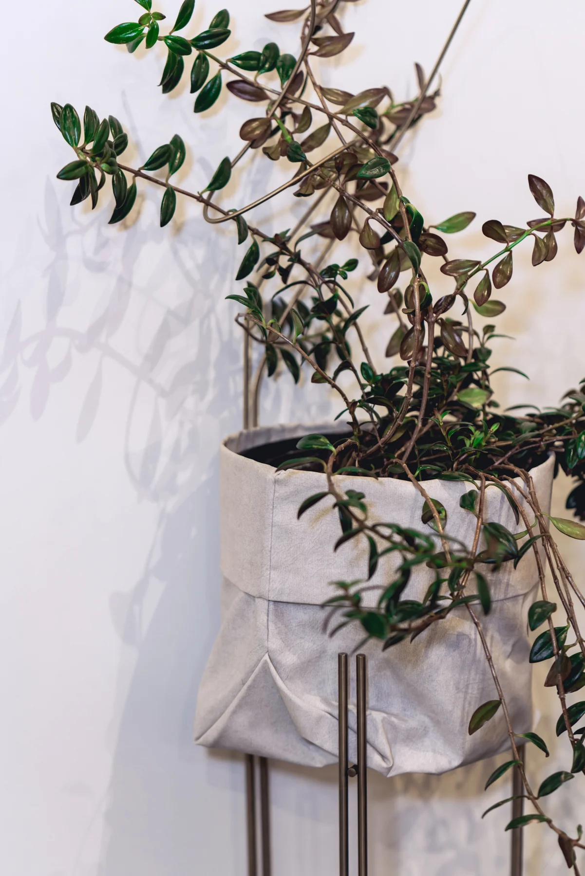 FILIPE RAMOS DESIGN - 33a PARALELA 2018 - FOTOS ESTUDIO MOSHIMOSHI - BAIXA (157).jpg