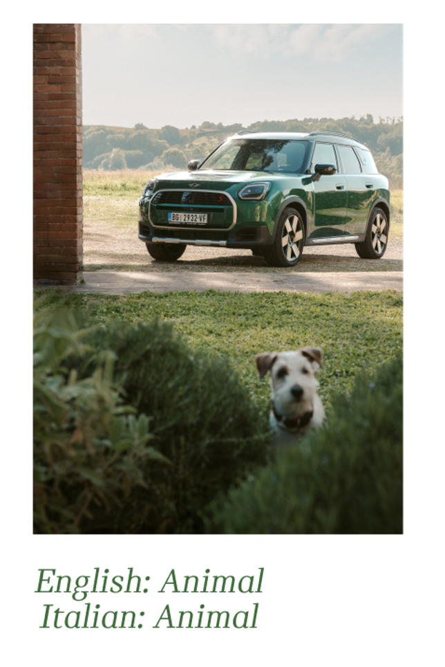 Screenshot 2026-02-02 at 4.06.00 PM.png