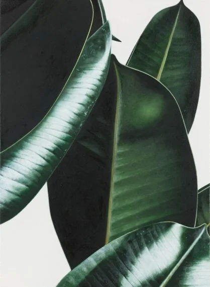 leaves.jpg