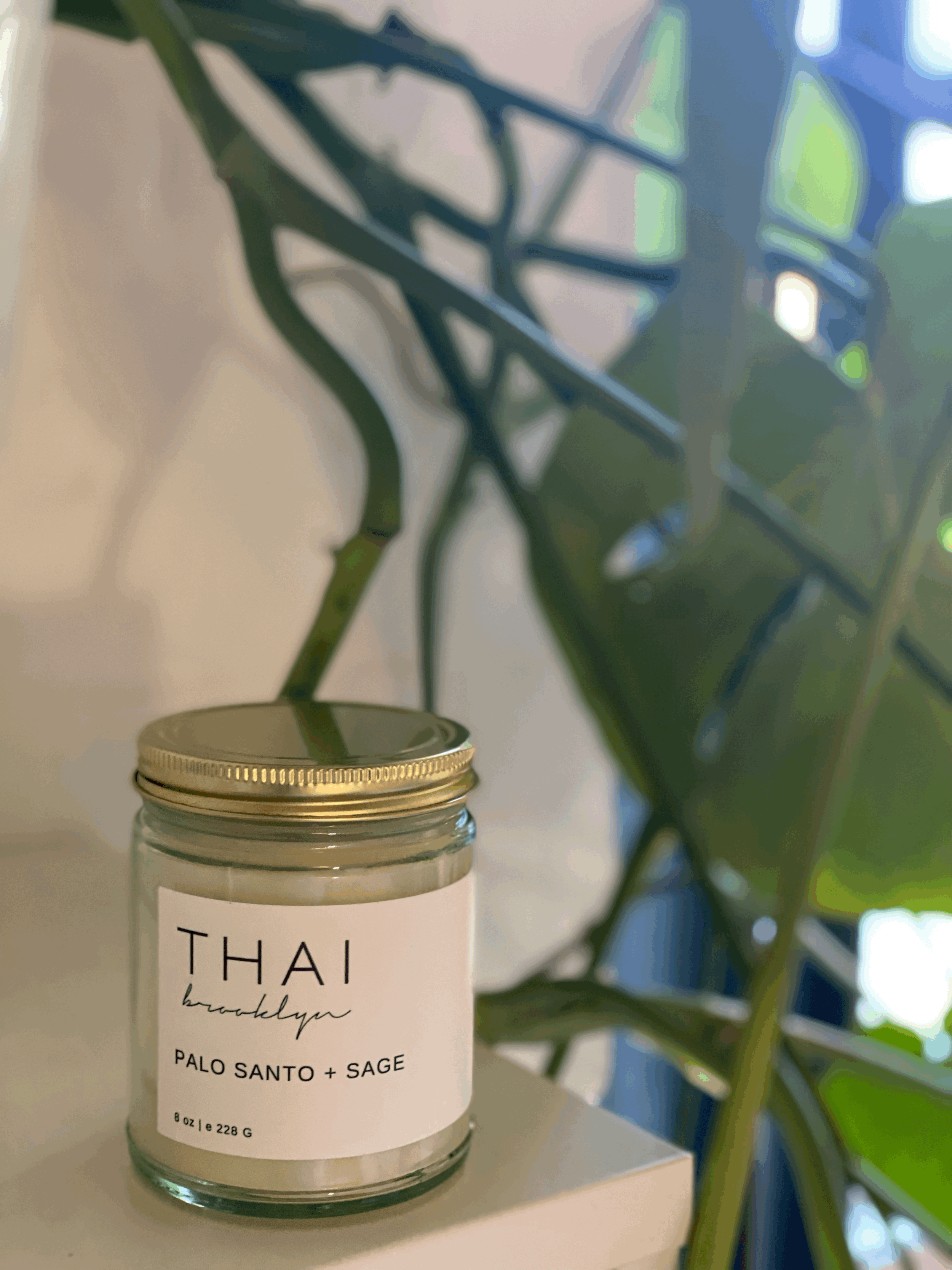 PALO SANTO + SAGE Jar Candle