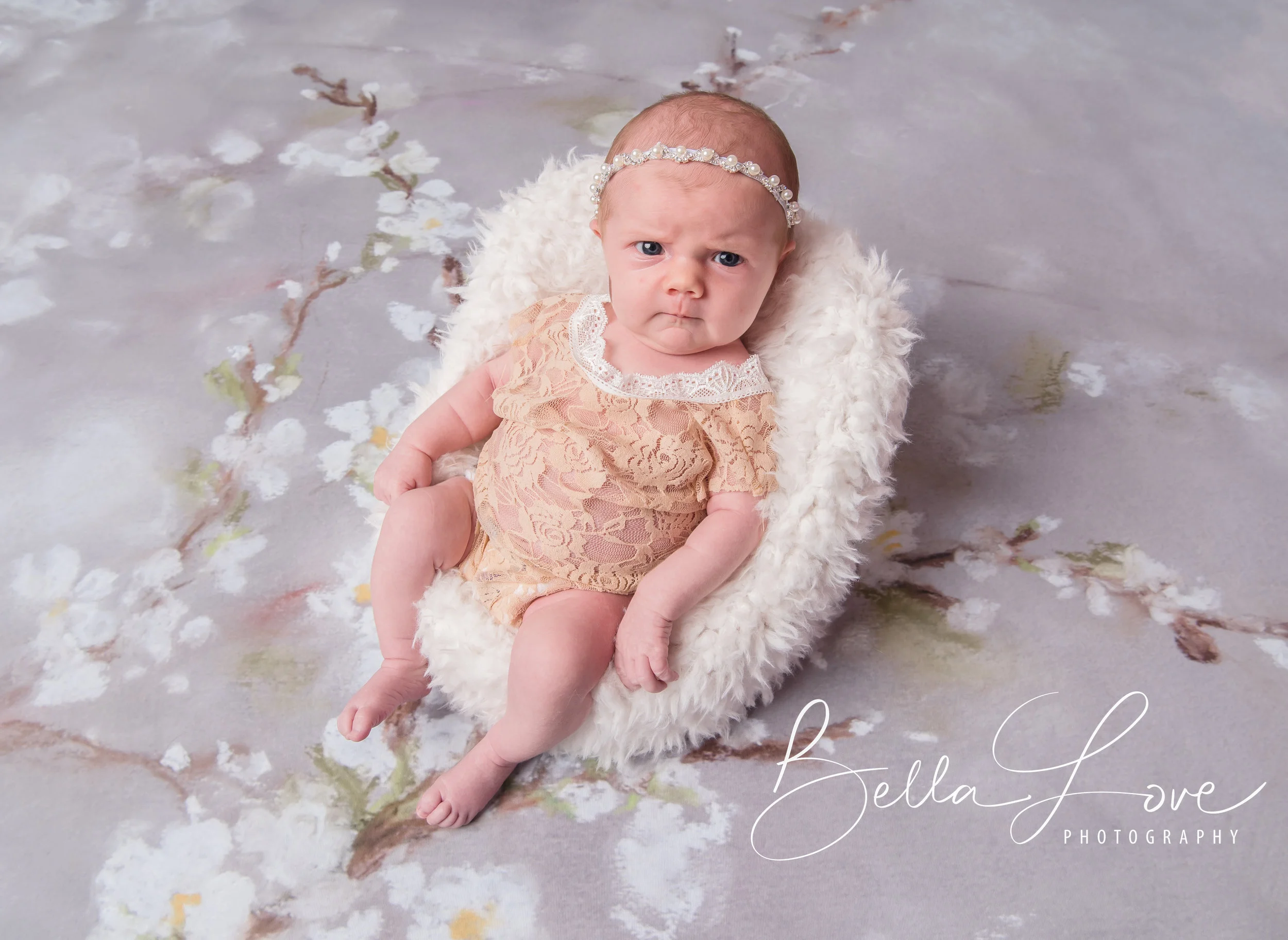 BLP_1229-Edit-Edit.jpg