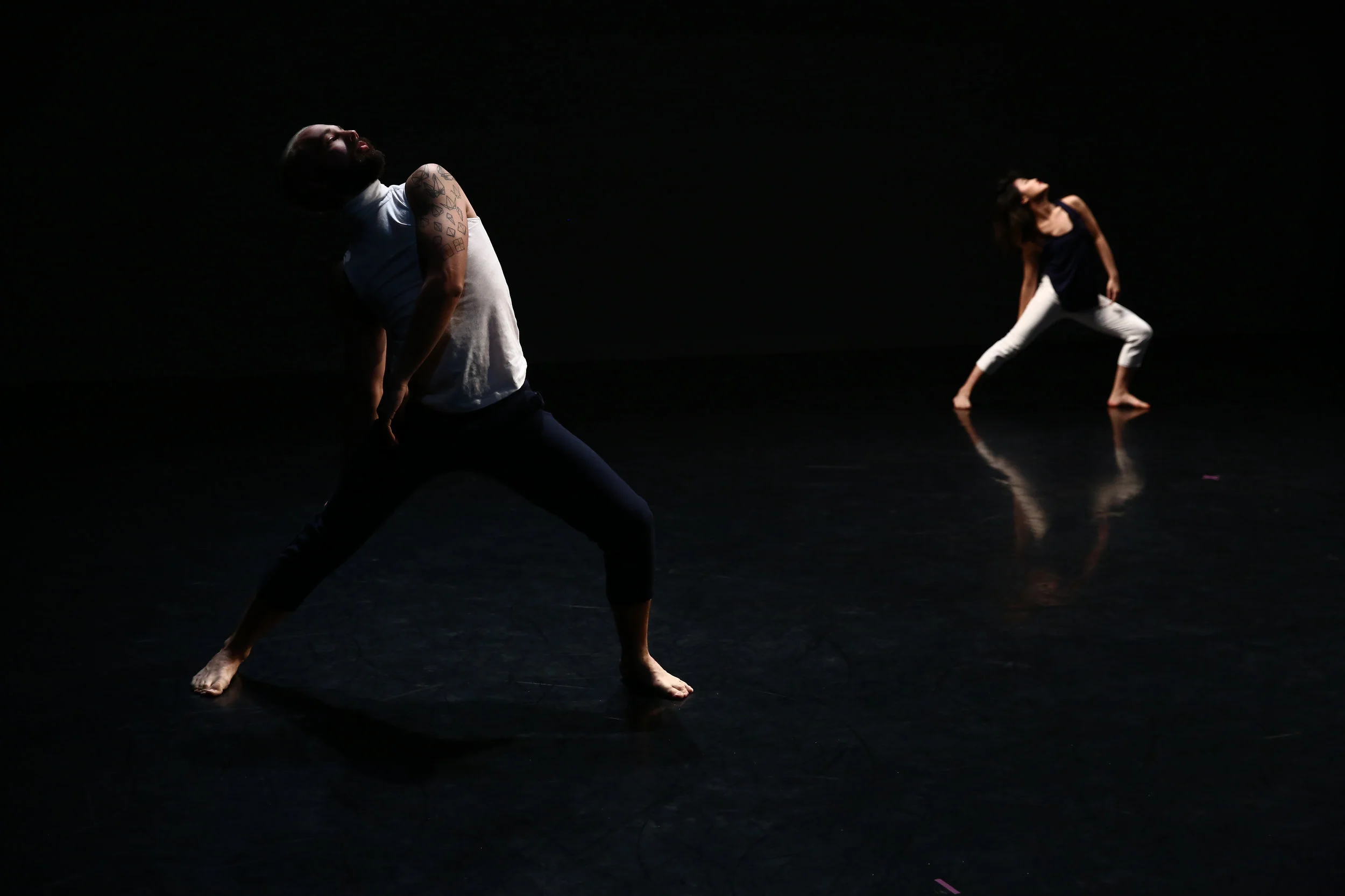 IMG_0788_ Photo by Paula Court.JPG