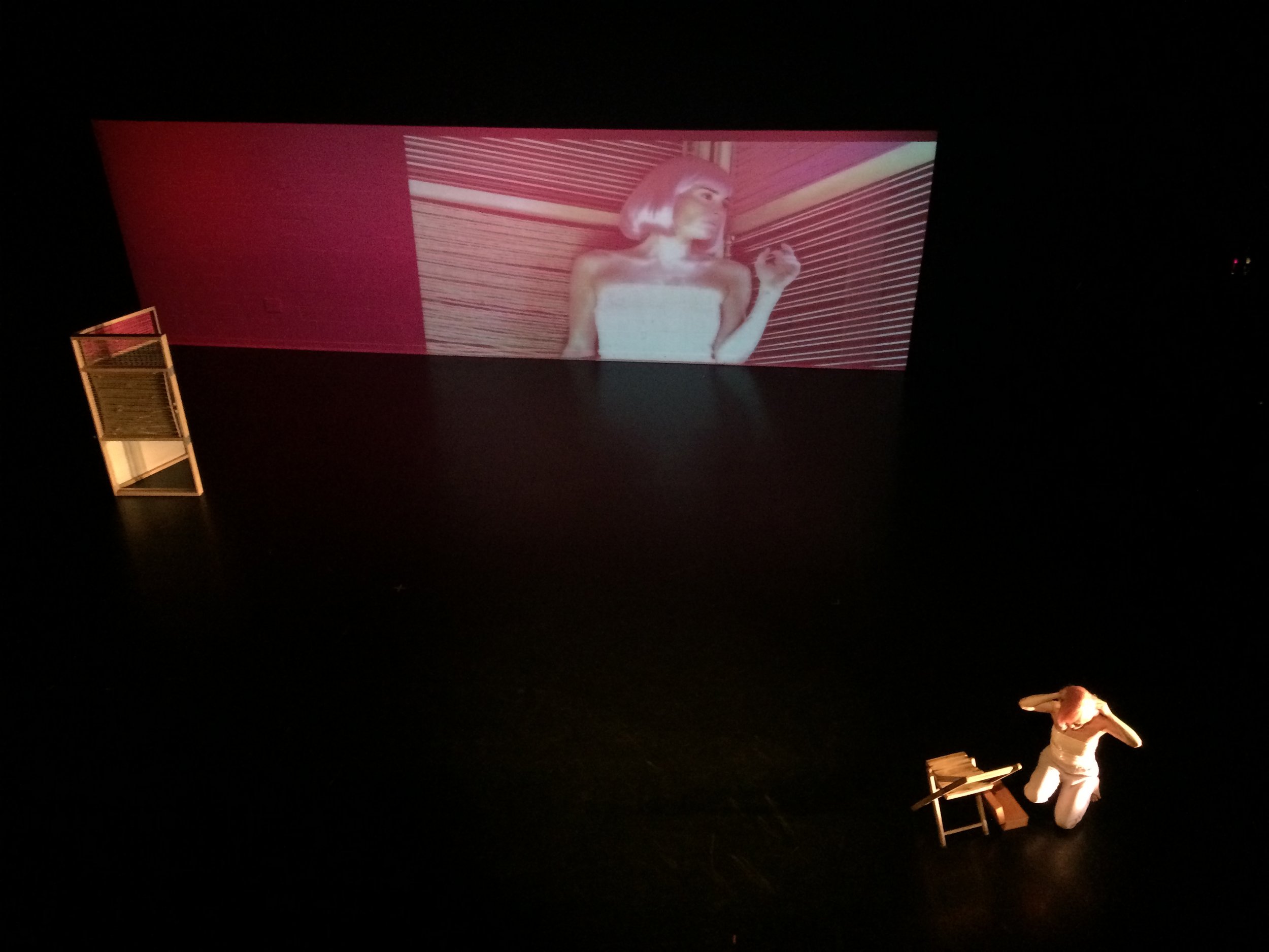 Jenna Tarbox Bird's Eye.JPG