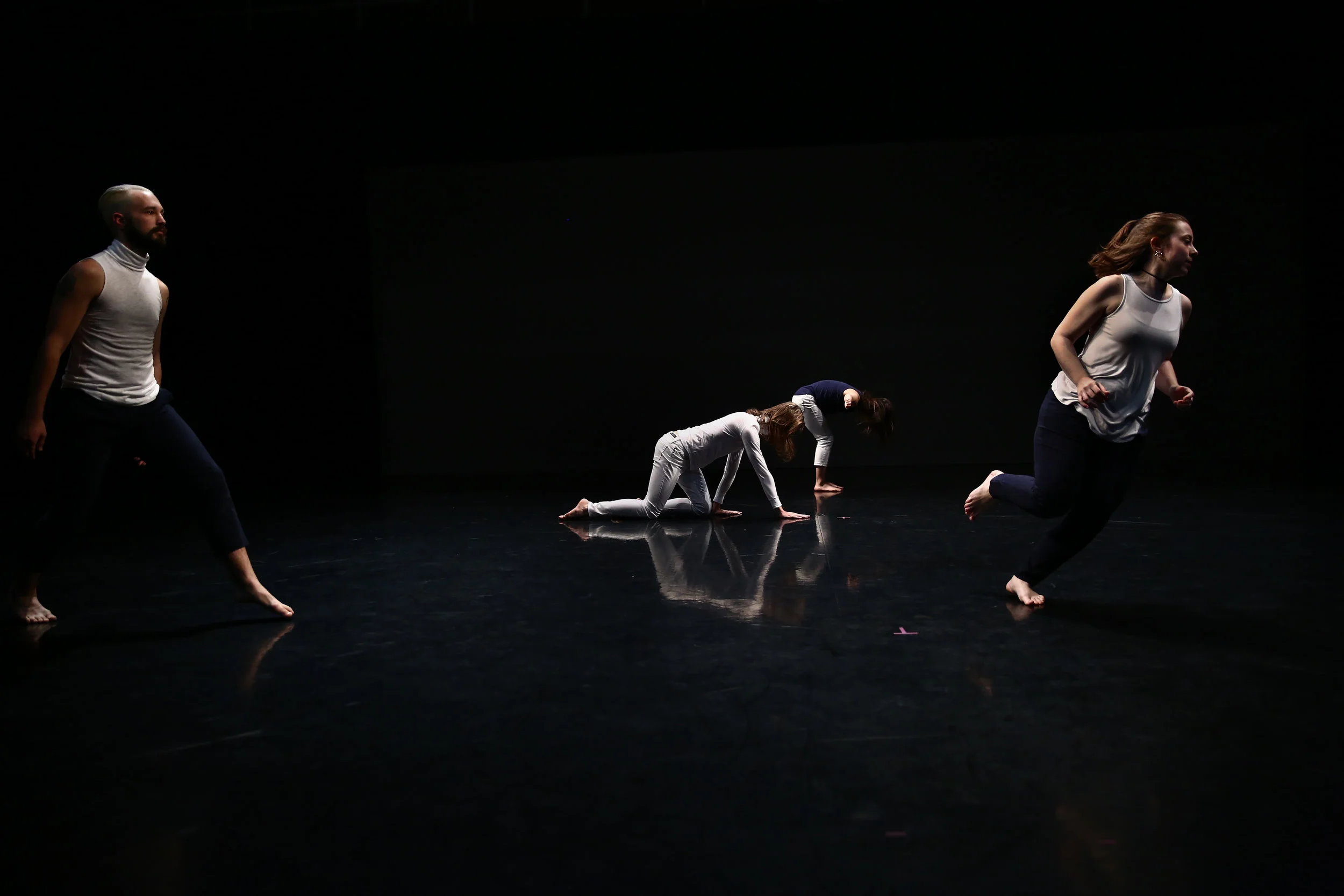 IMG_0841_ Photo by Paula Court.JPG