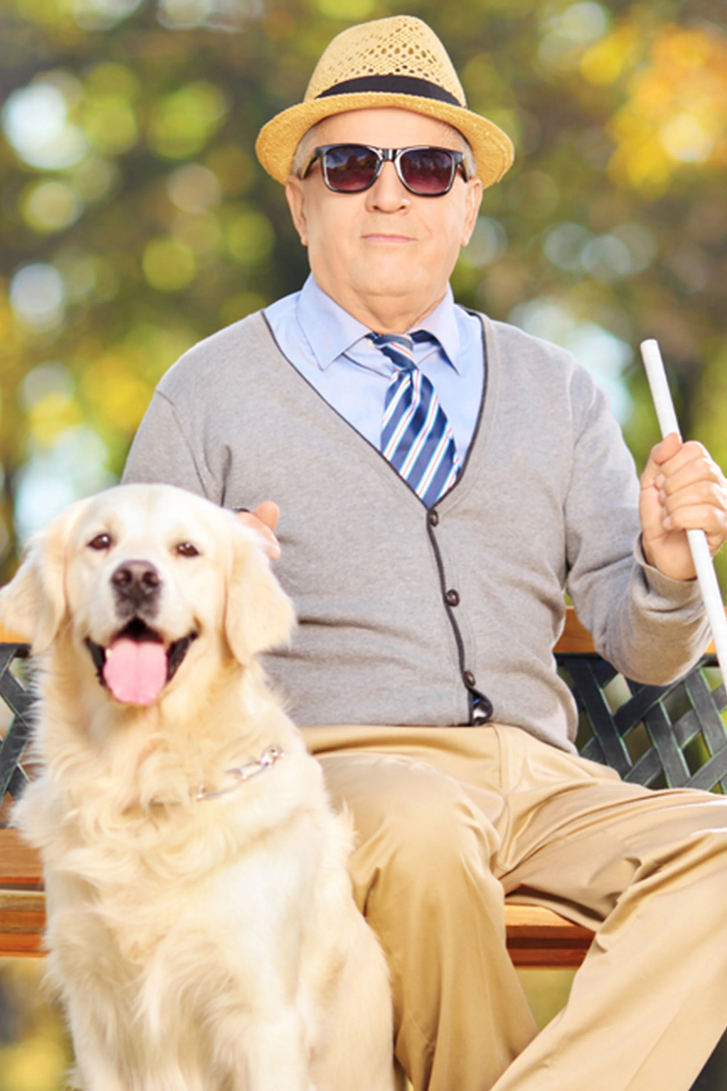 Elder Law:Estate Planning.jpg