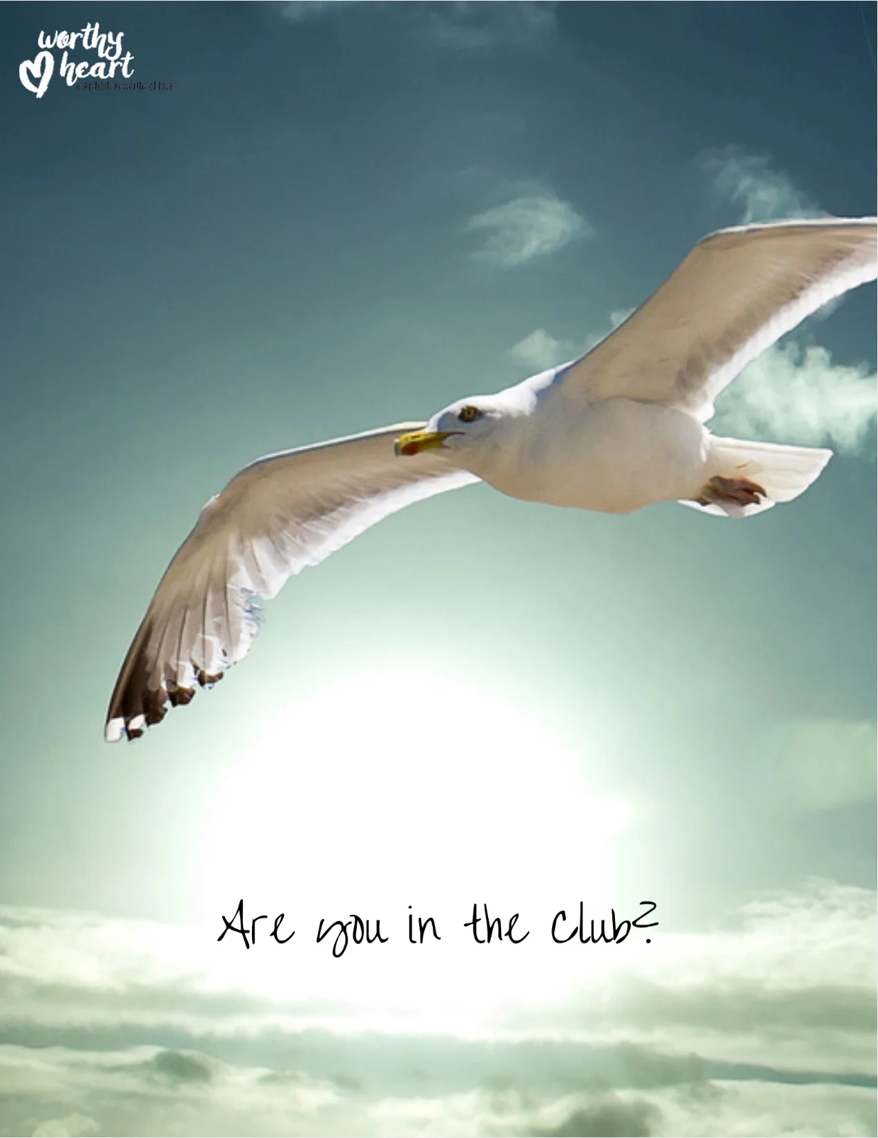 Are You in the Club?