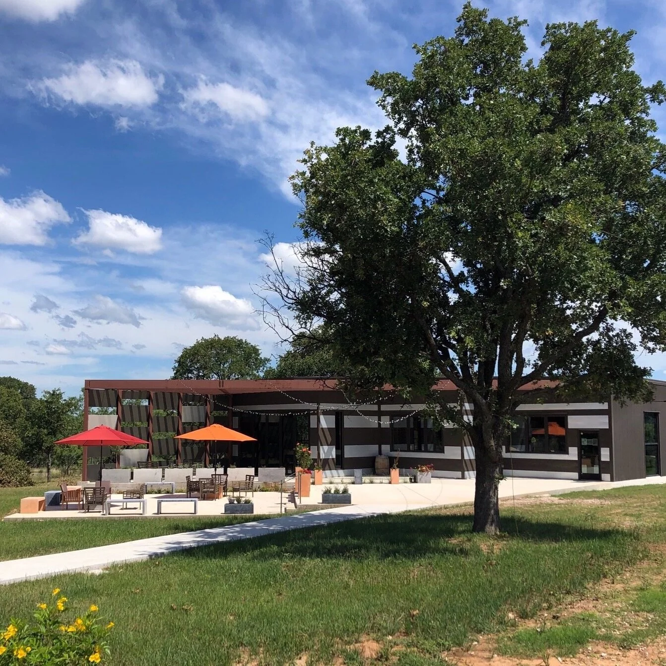 Grape Vineyard Adega Vinho