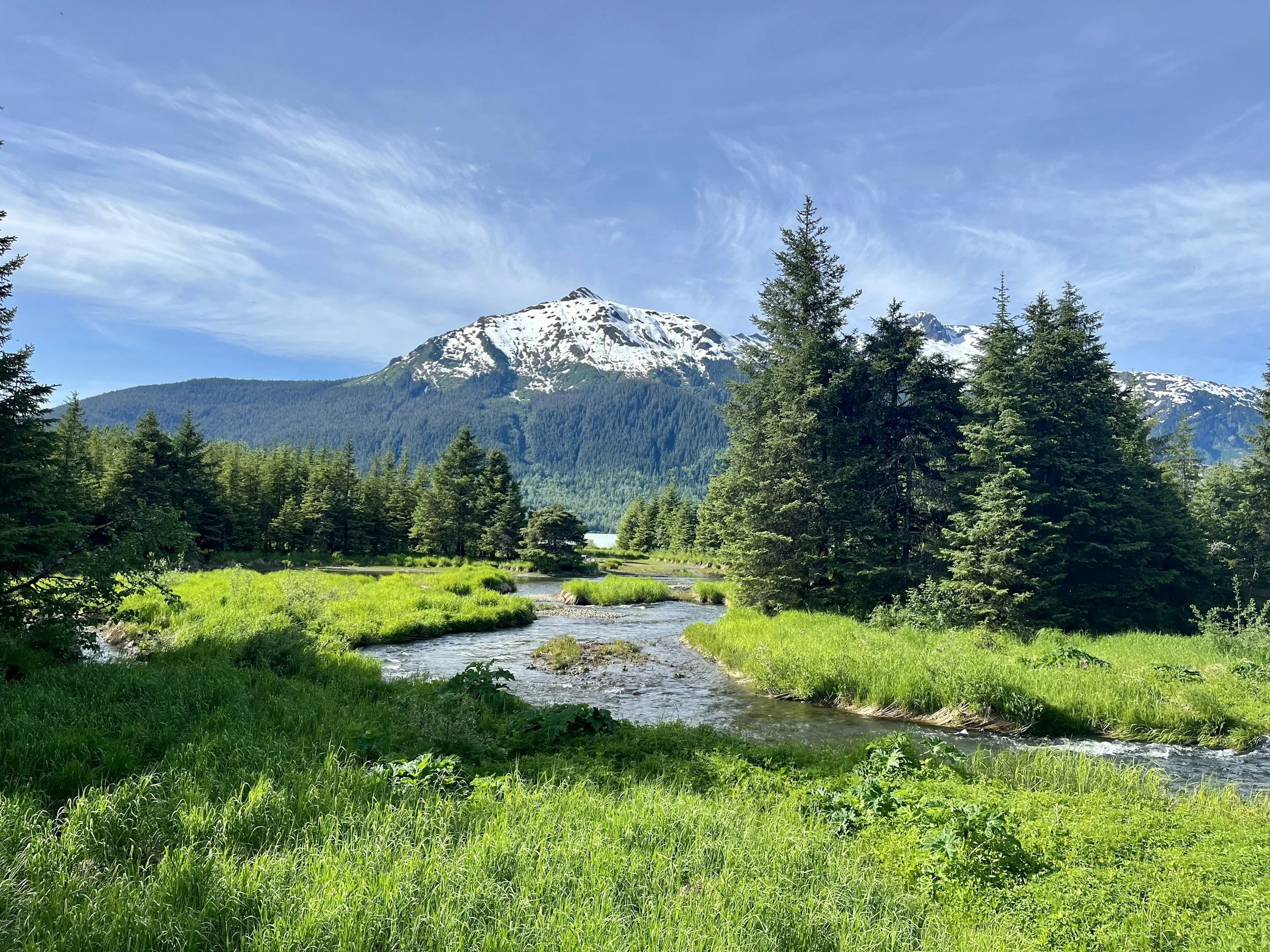 Celebrating Wilderness in Overpopulated TimES