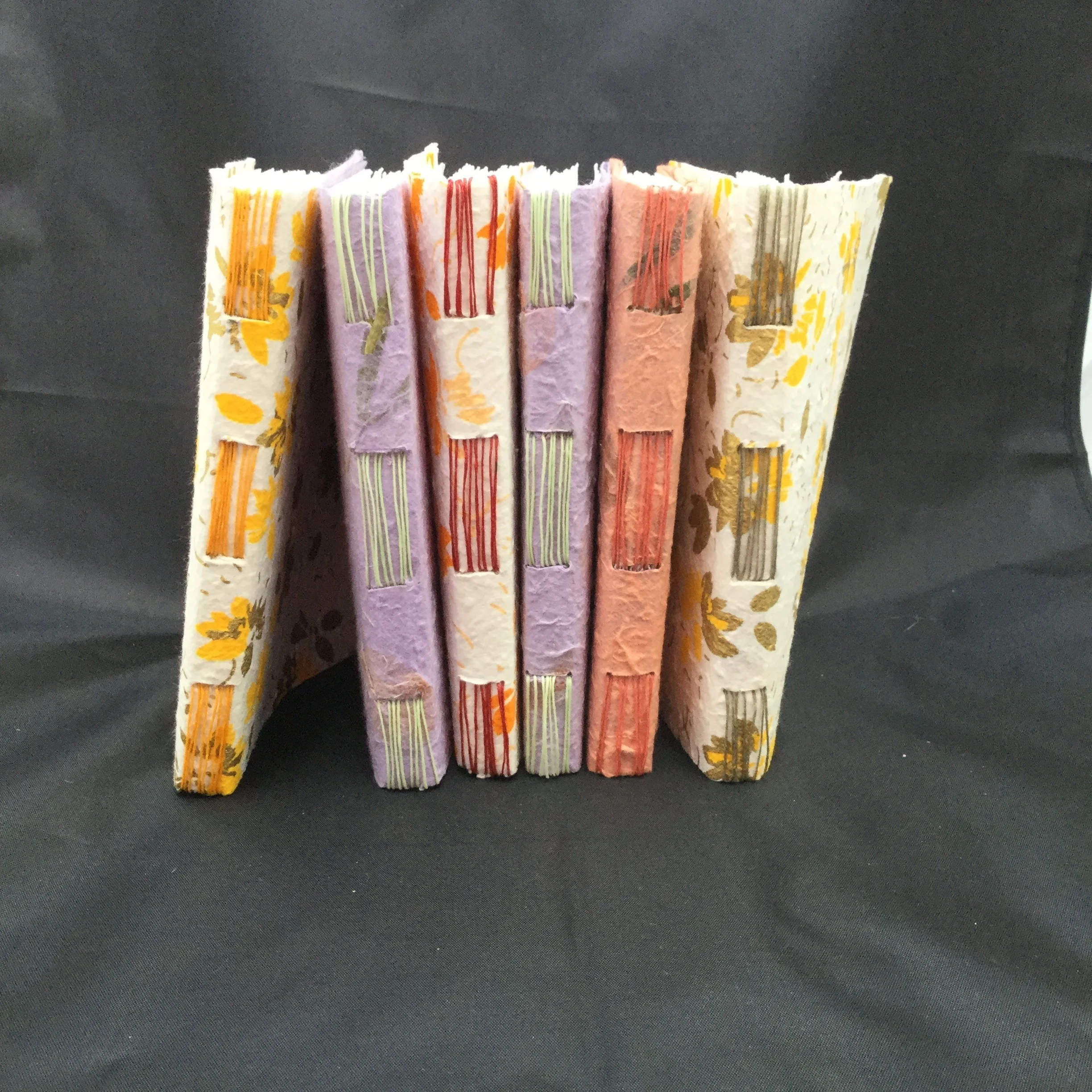 Some new sketchbooks for Art in the Garden