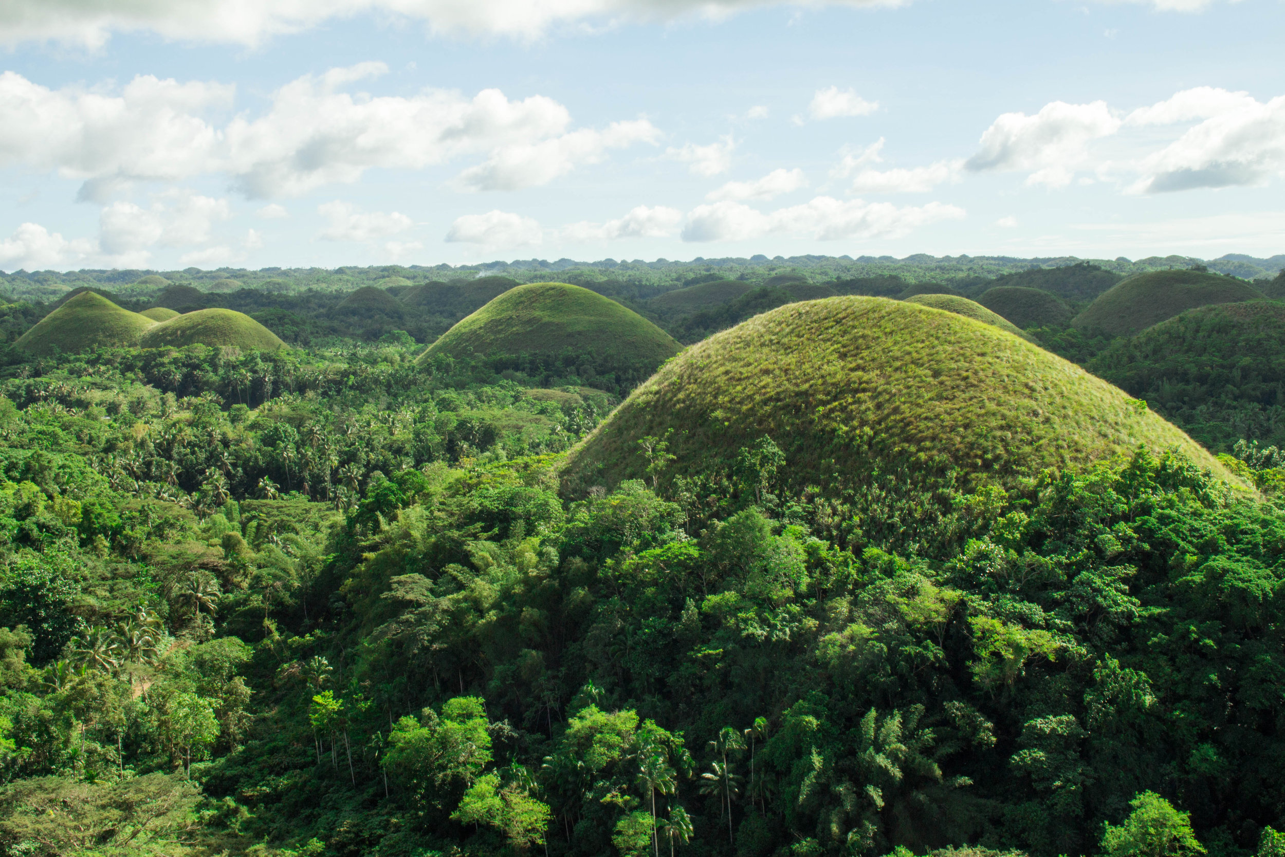 Chocolate Hills, named after the color that the grass takes on during the dry seaon