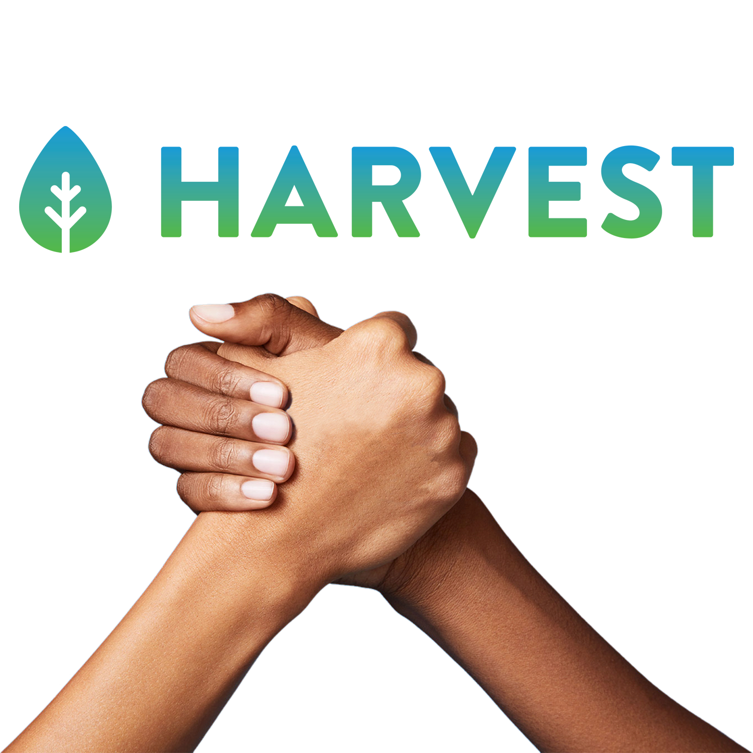 harvest.png
