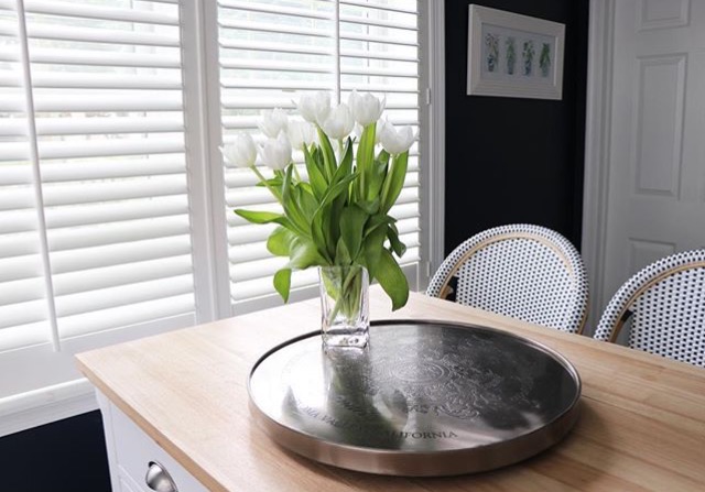 Plantation Shutters Color: Silk White