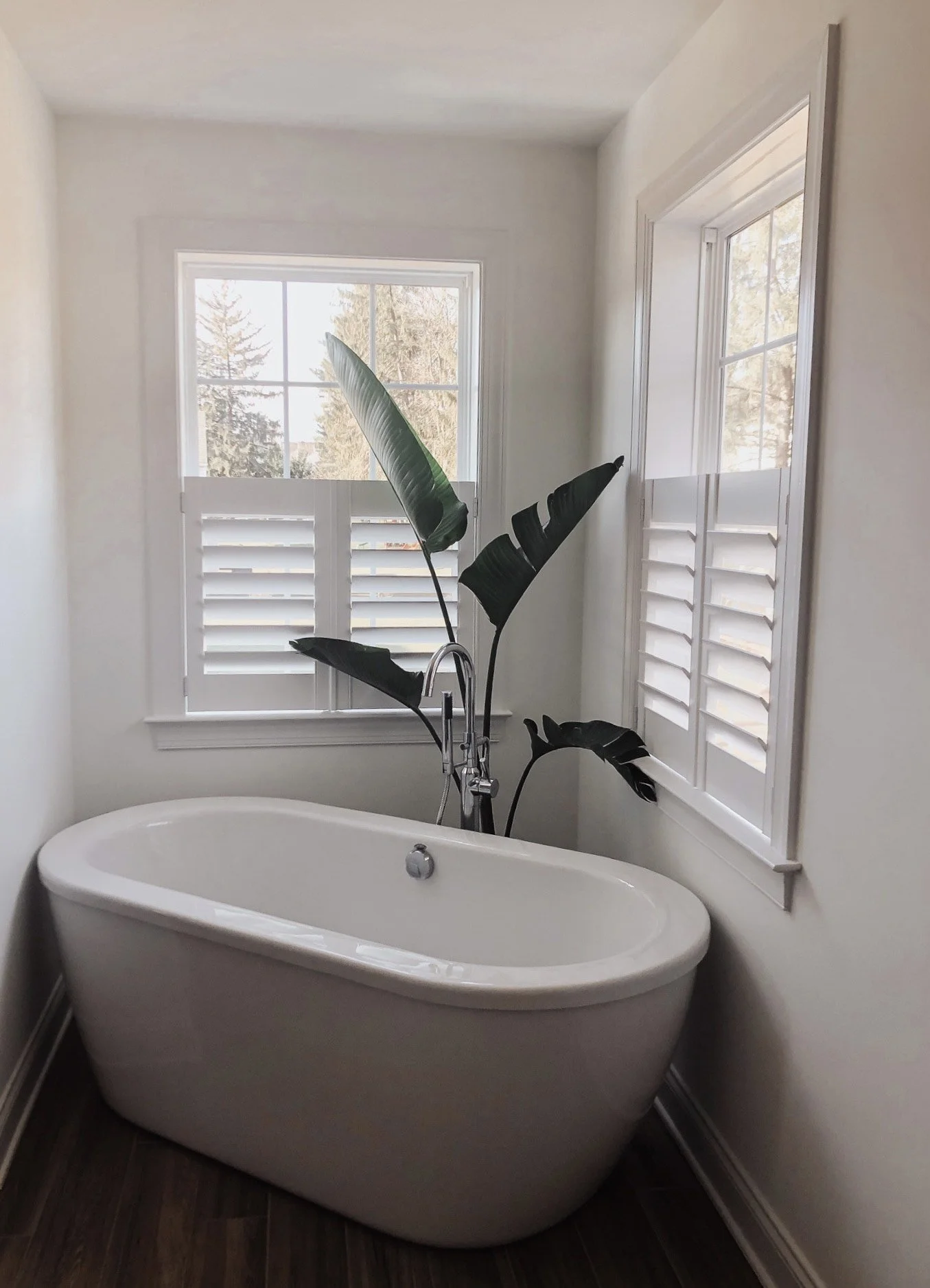 Plantation Shutters: Furniture for Your Windows