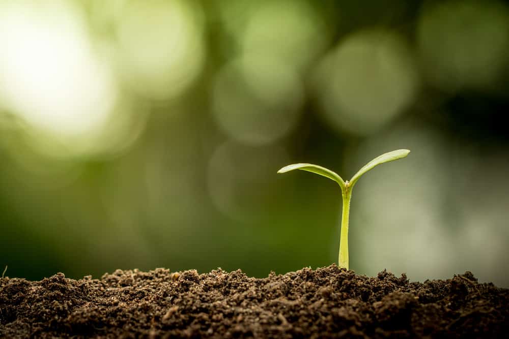opt_iStock-486530452.jpg