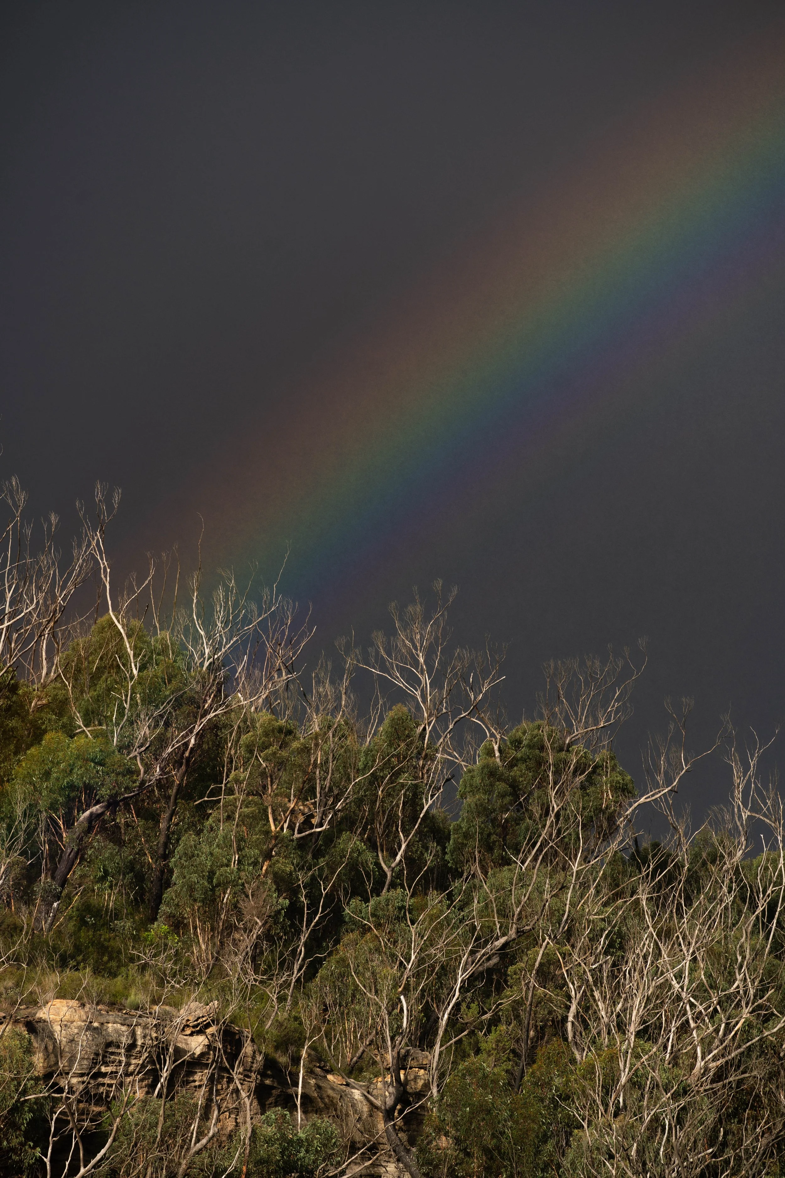 Australia-88.jpg