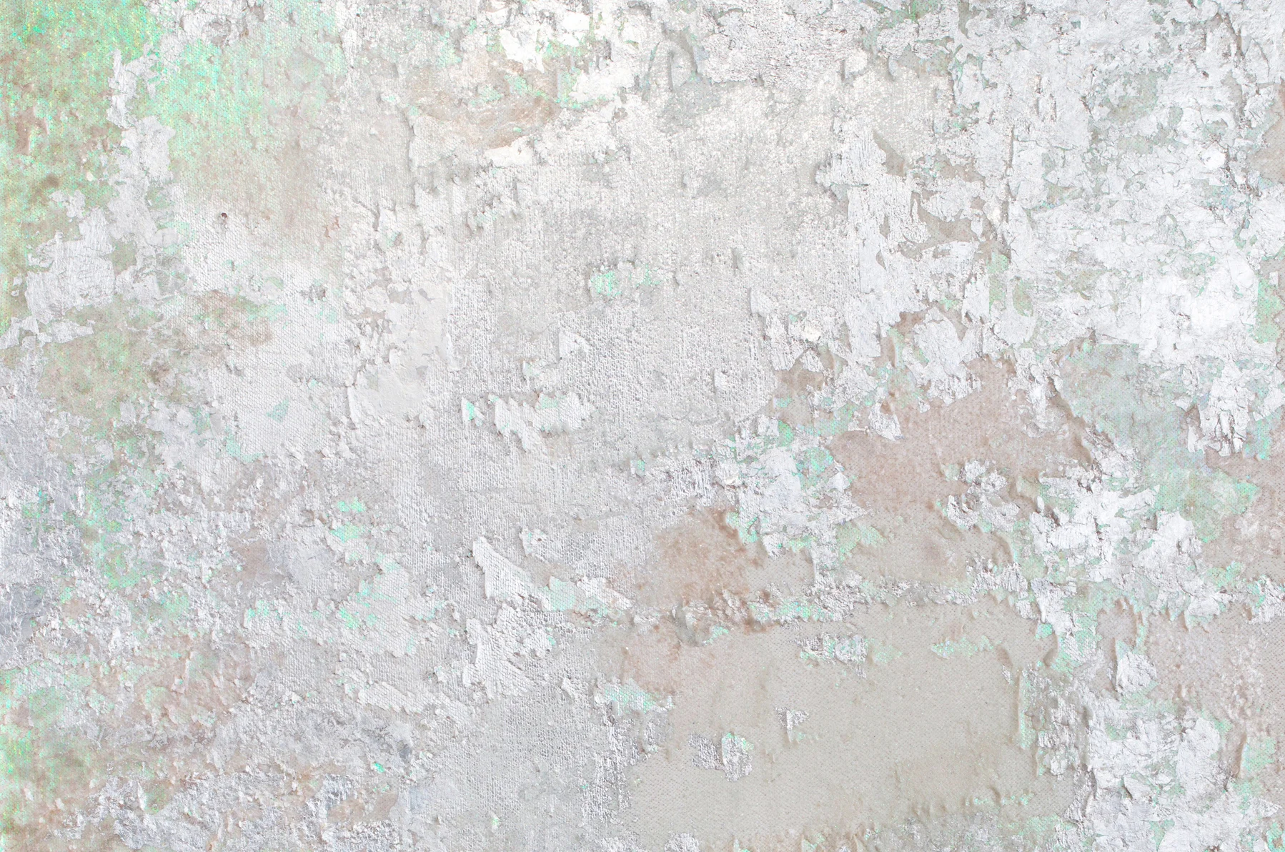 Ghost_cropped horizontal.jpg
