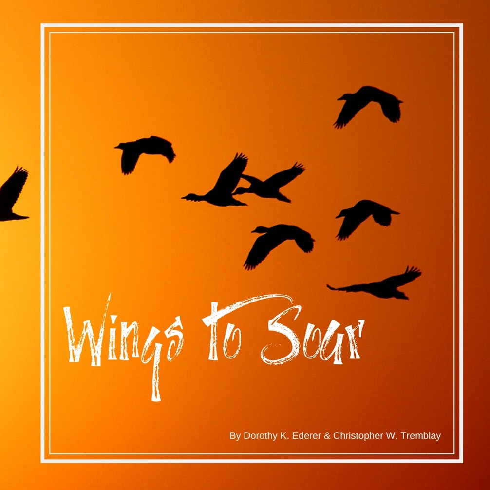 Wings+to+Soar.jpg