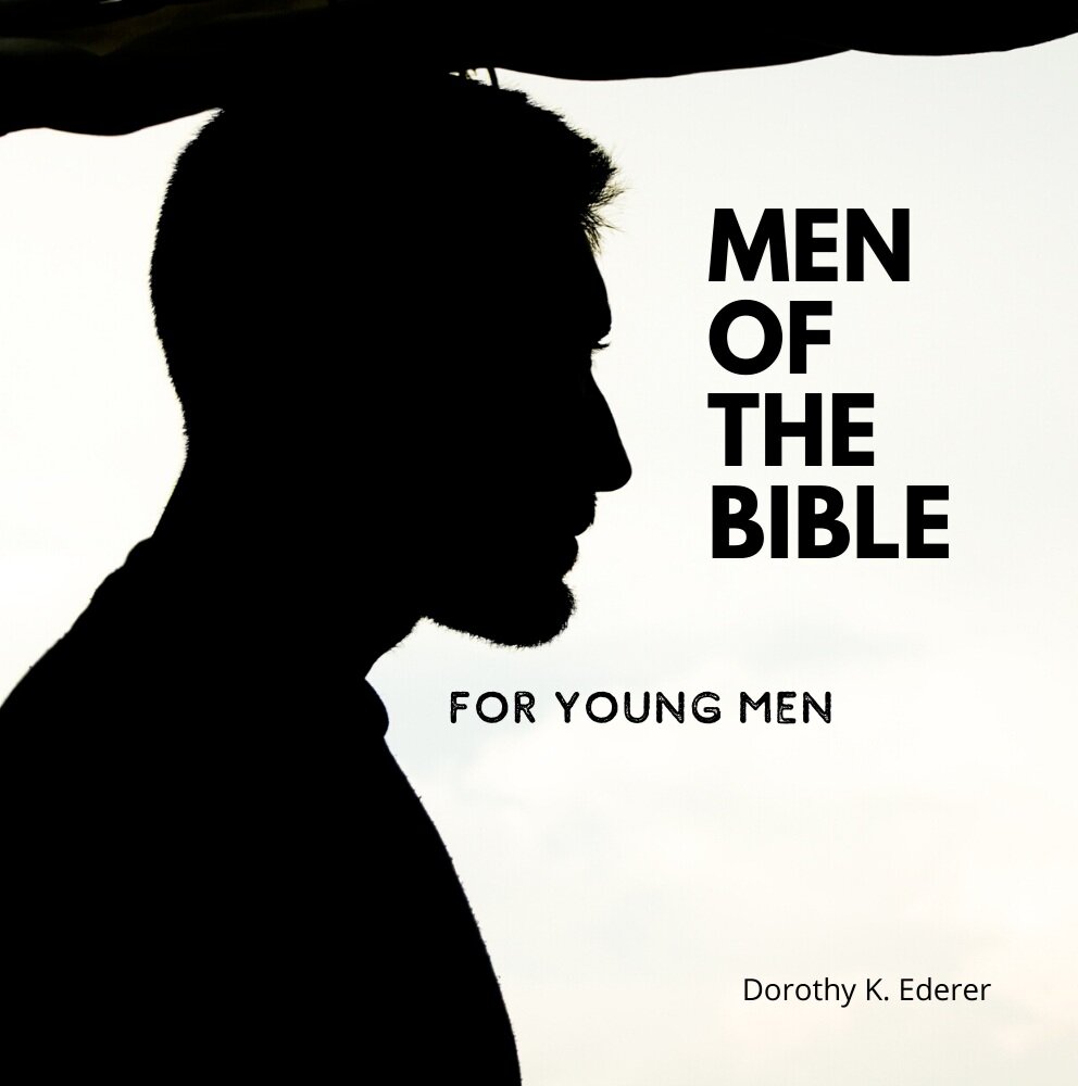 Men+of+the+Bible+Cover.jpg