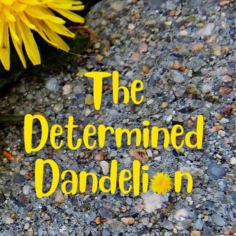 Determined+Dandelion+%286%29.jpg