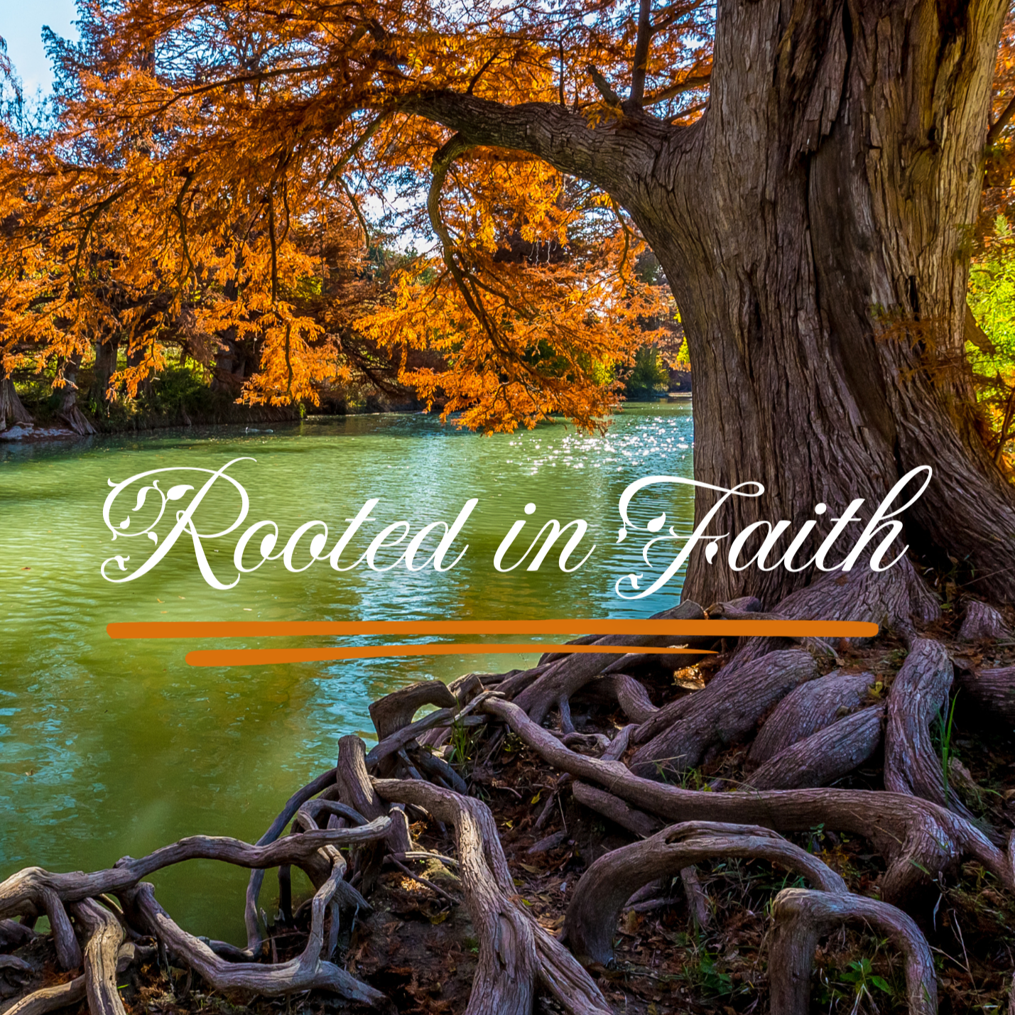 Rooted+in+Faith+%281%29.png