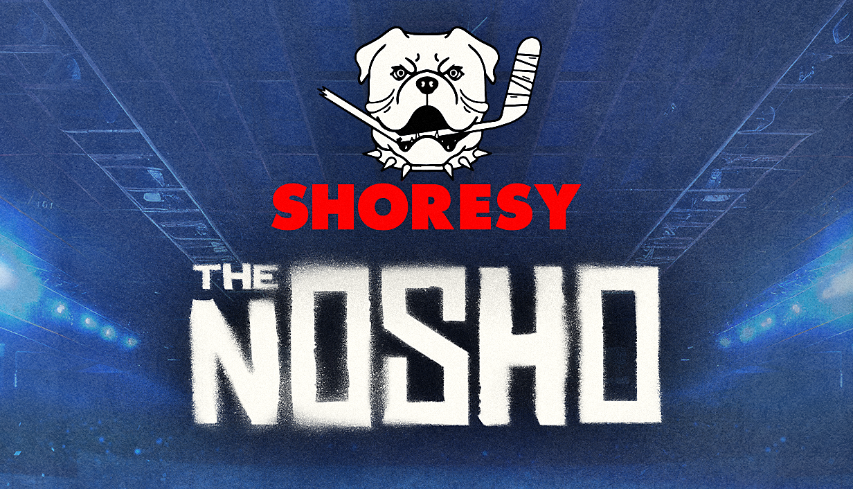 SHORESY_STEAM_store_capsule_main.png