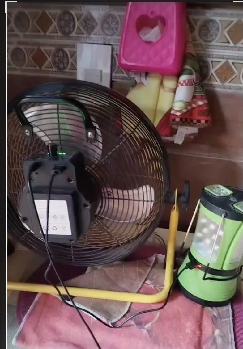 Sadiel's fan.jpg