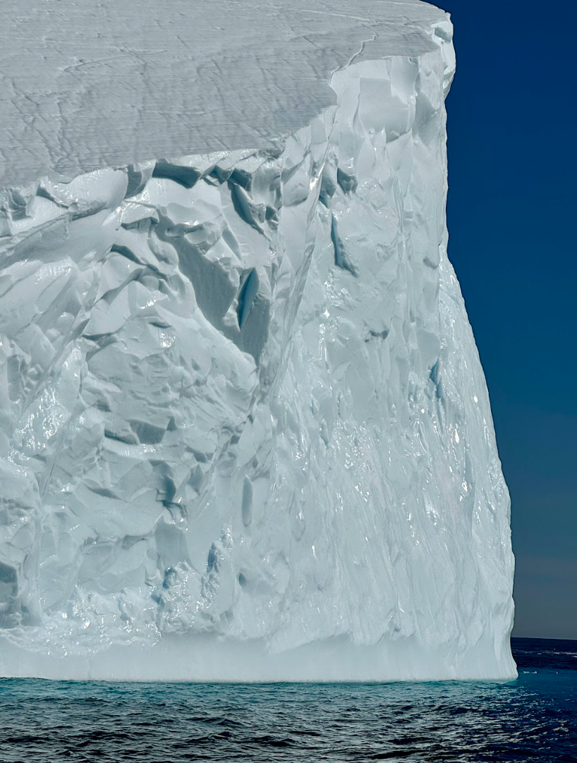 Screenshot 2026-02-09 at 16.12.16.png