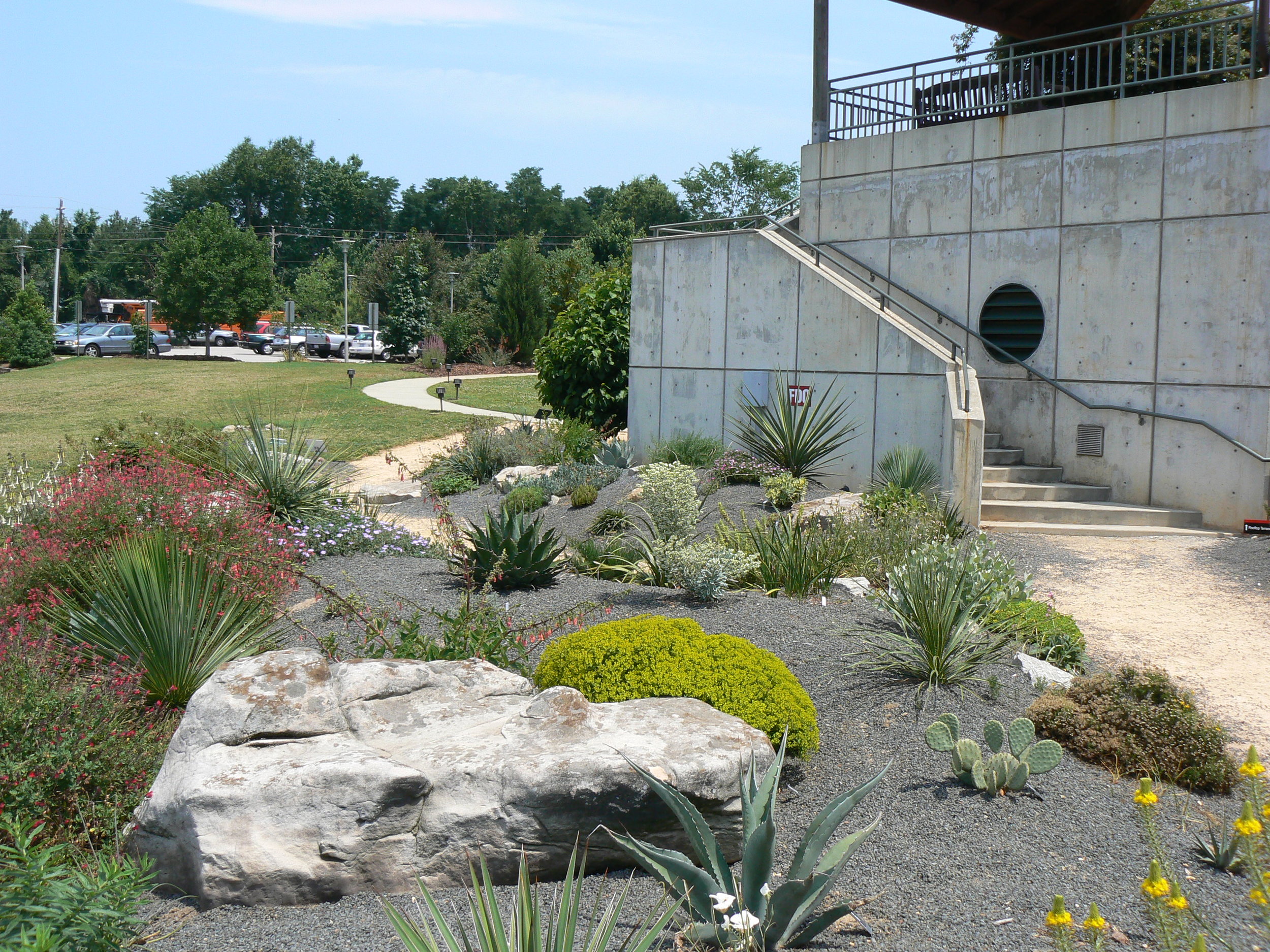 Drought Garden JCR NCSU.JPG