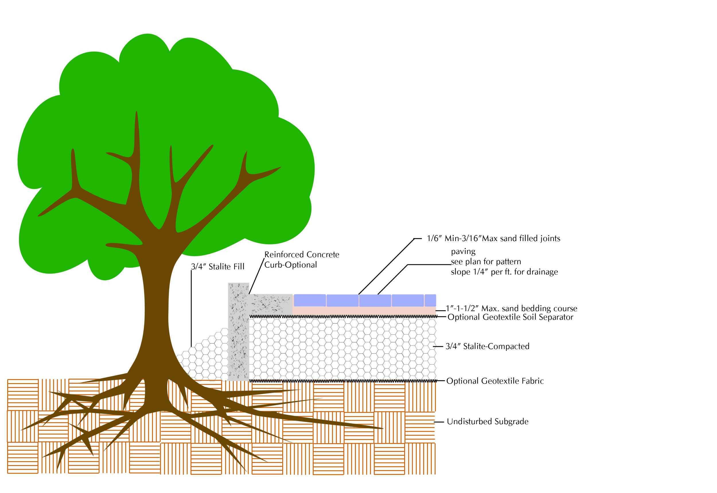 Structural Bridging over Tree Roots.jpg
