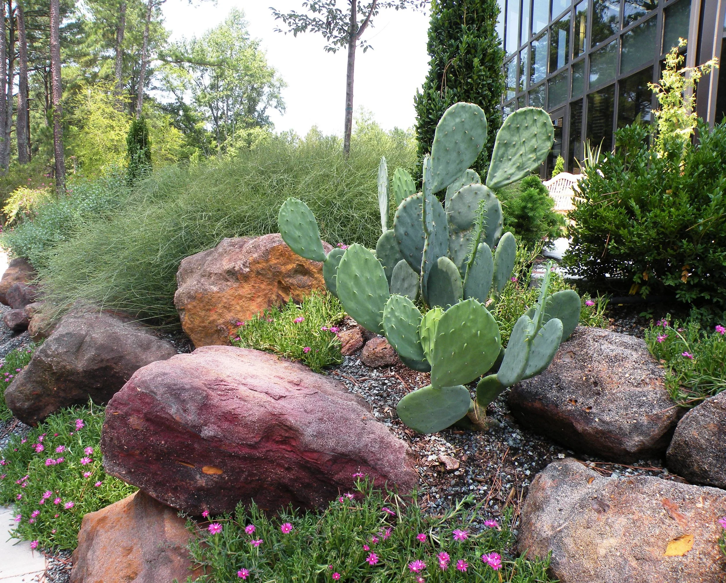 12 CFBG rock garden.jpg