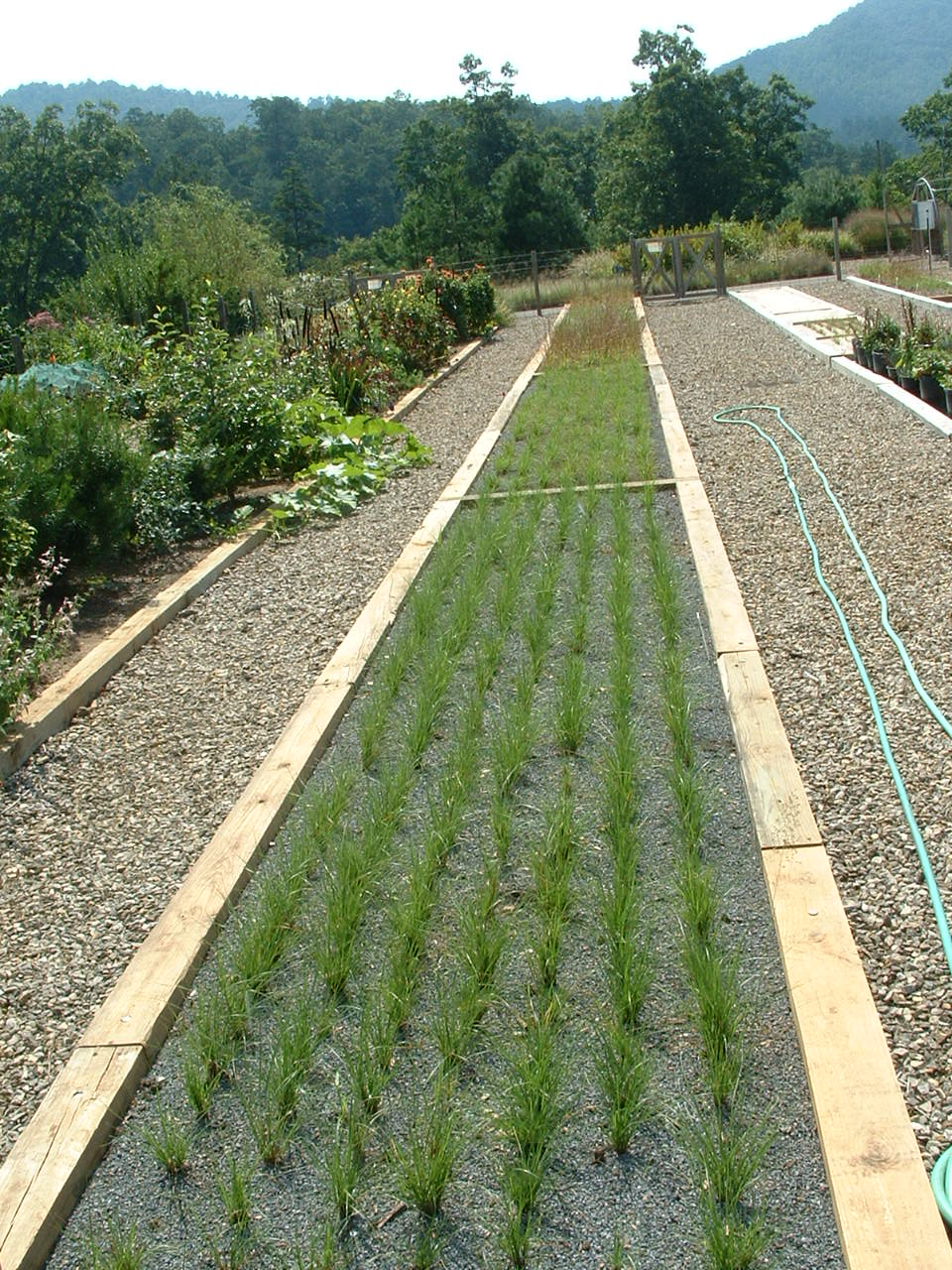 3 Bioretention 9-1-05 026.jpg