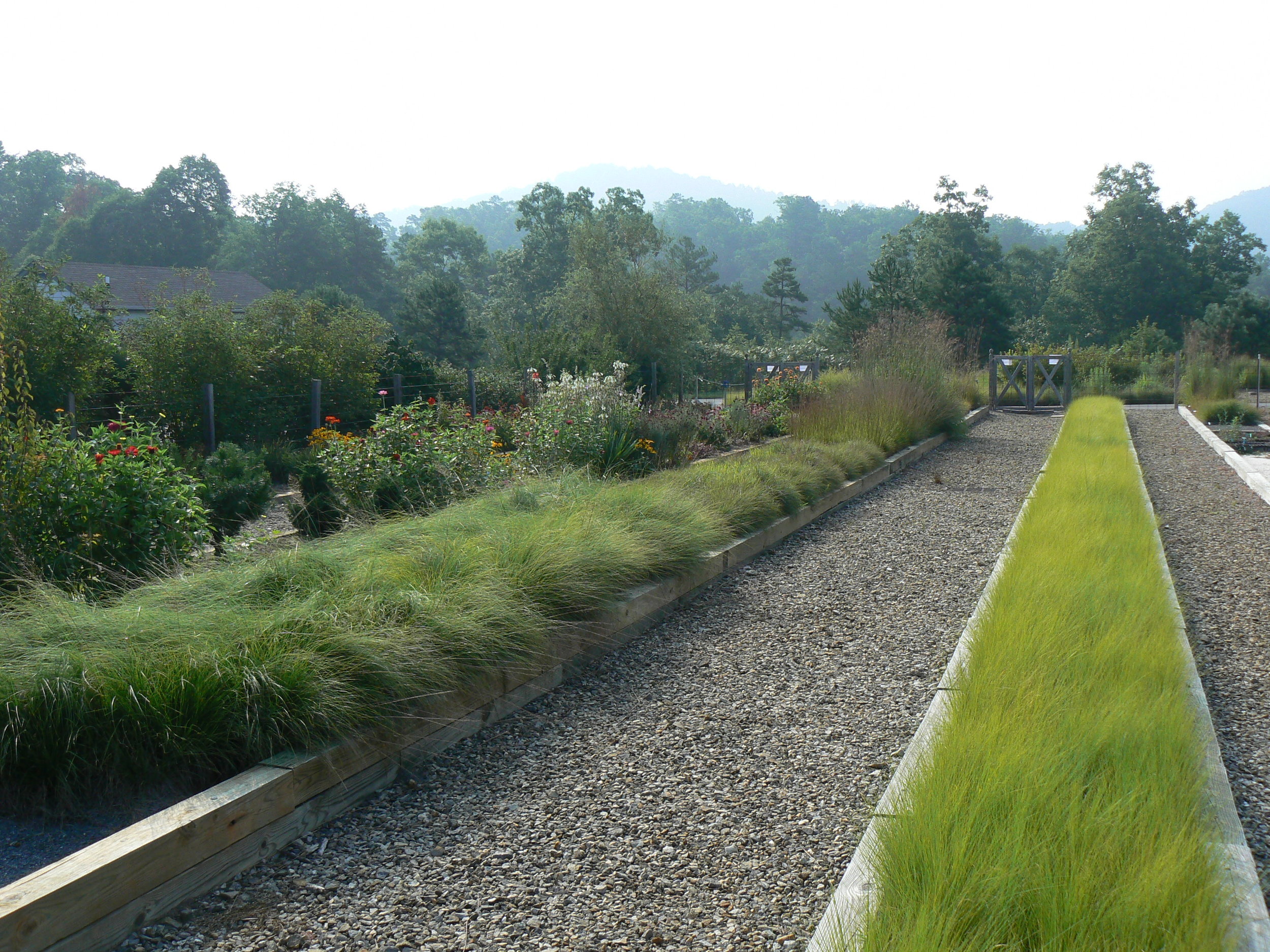 5 Grasses Production  Test Asheville Arb..jpg