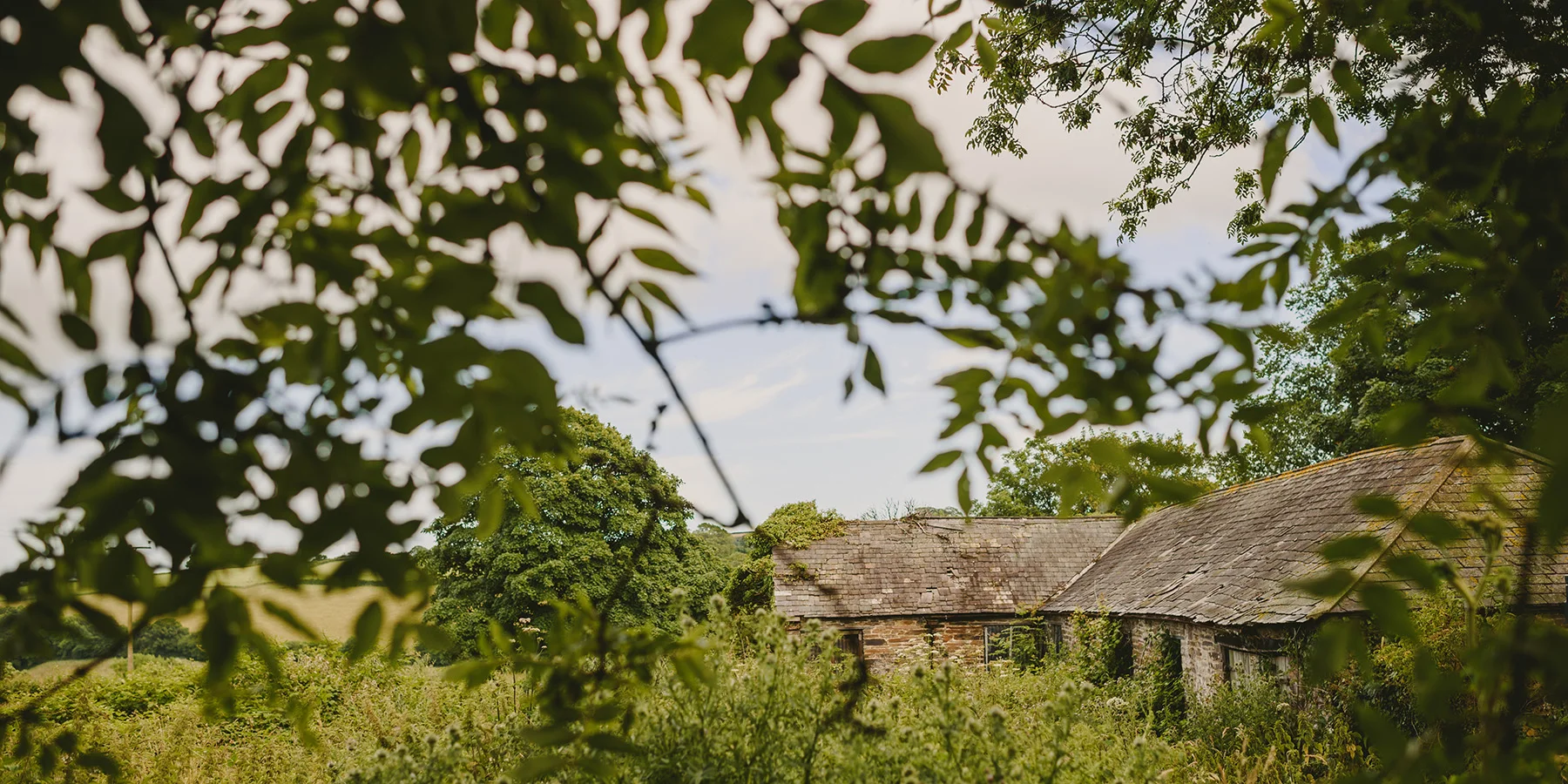 Property Surveys Find out what survey is right for you Learn more