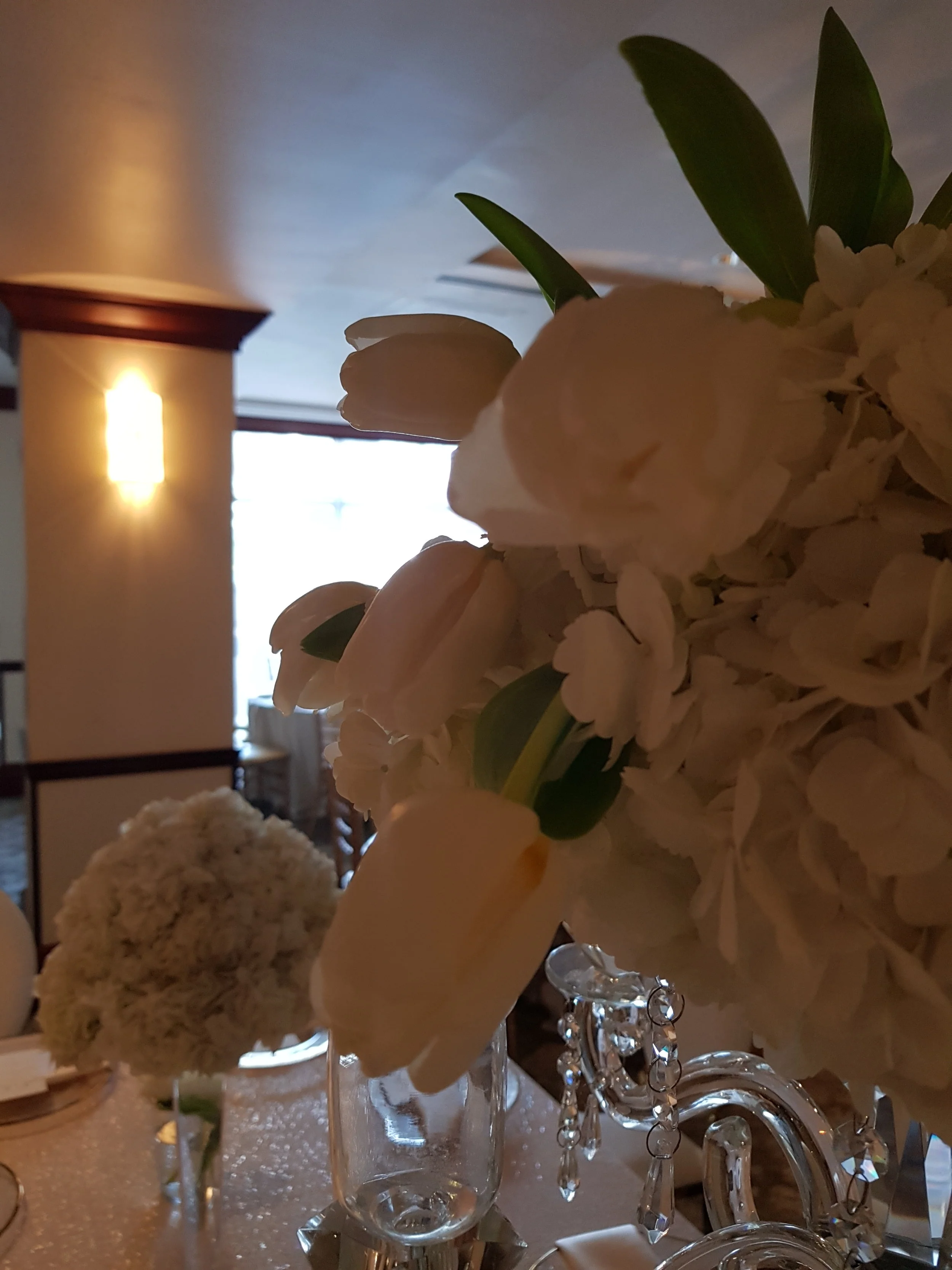 20180210_143312.jpg