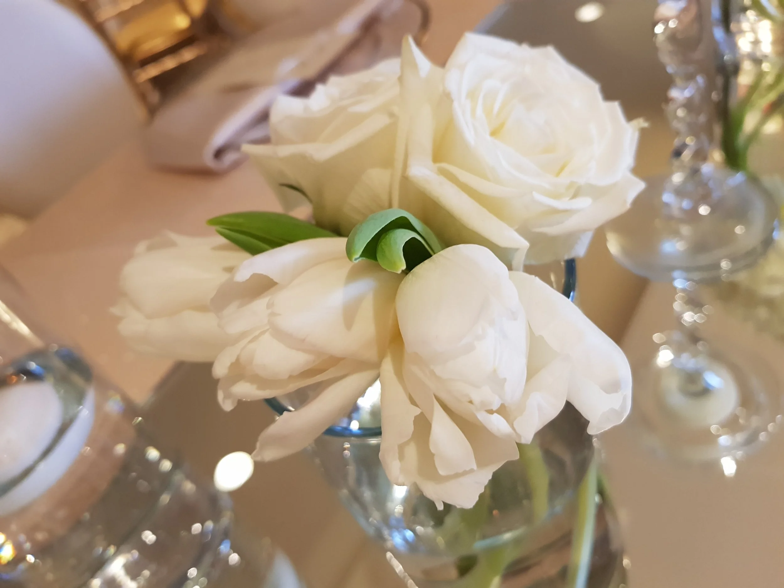20180210_144506.jpg