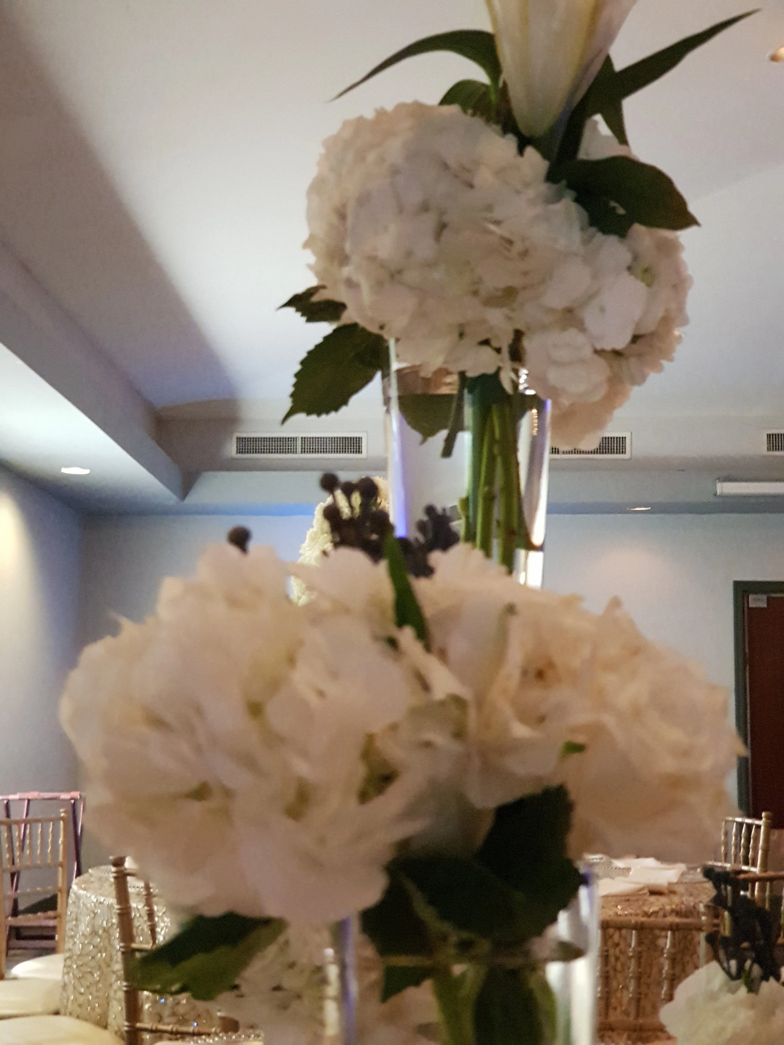 20180217_160252.jpg