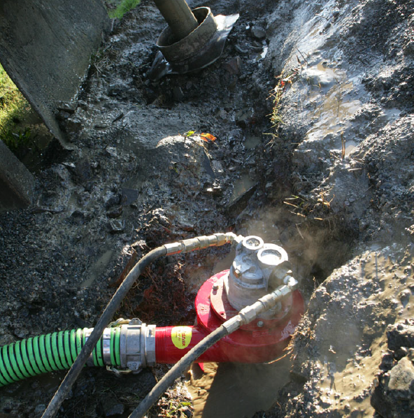 Mud Puppy 3 Square@2x.png