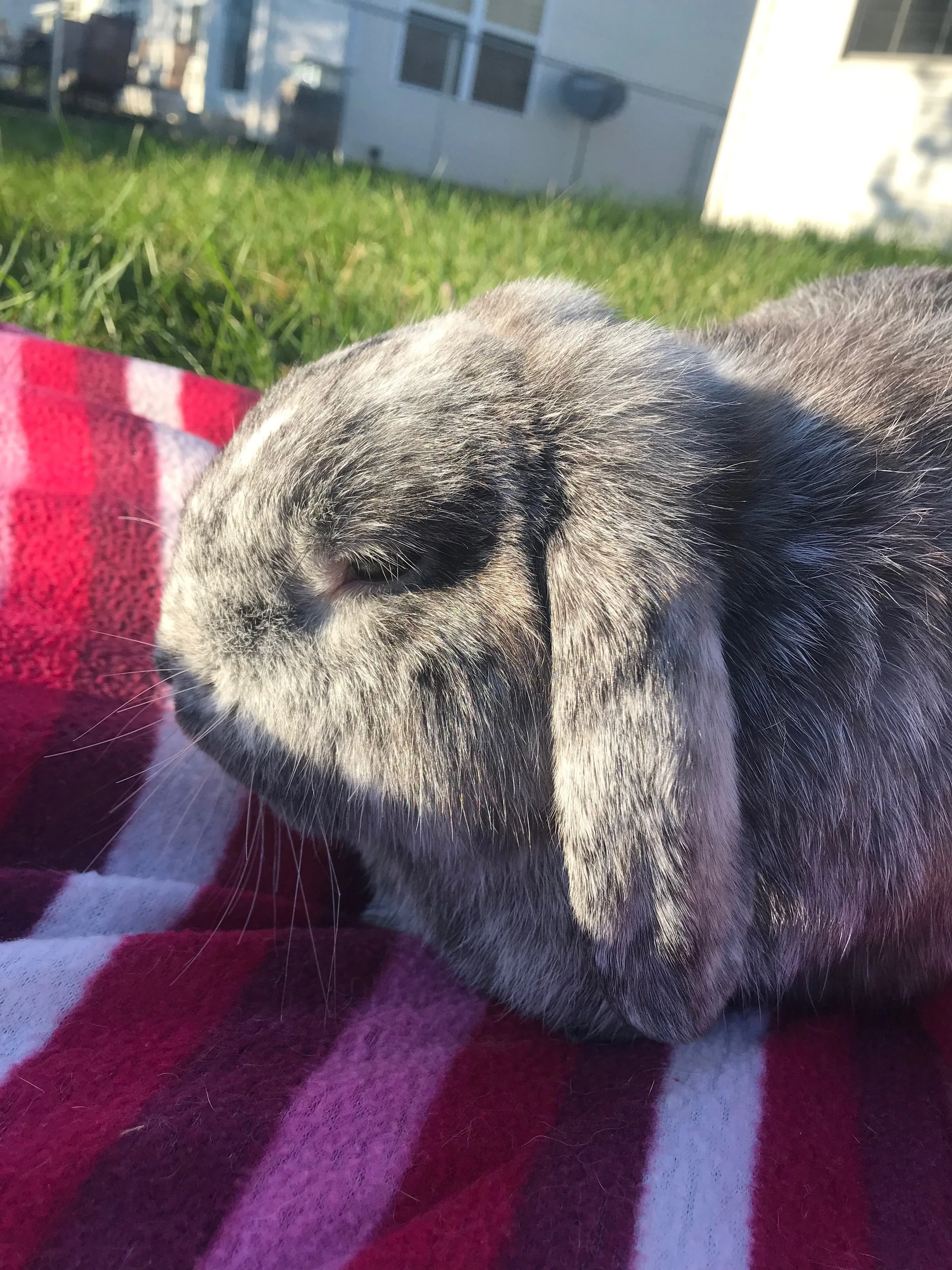 Best Update On Oliver Yet! 