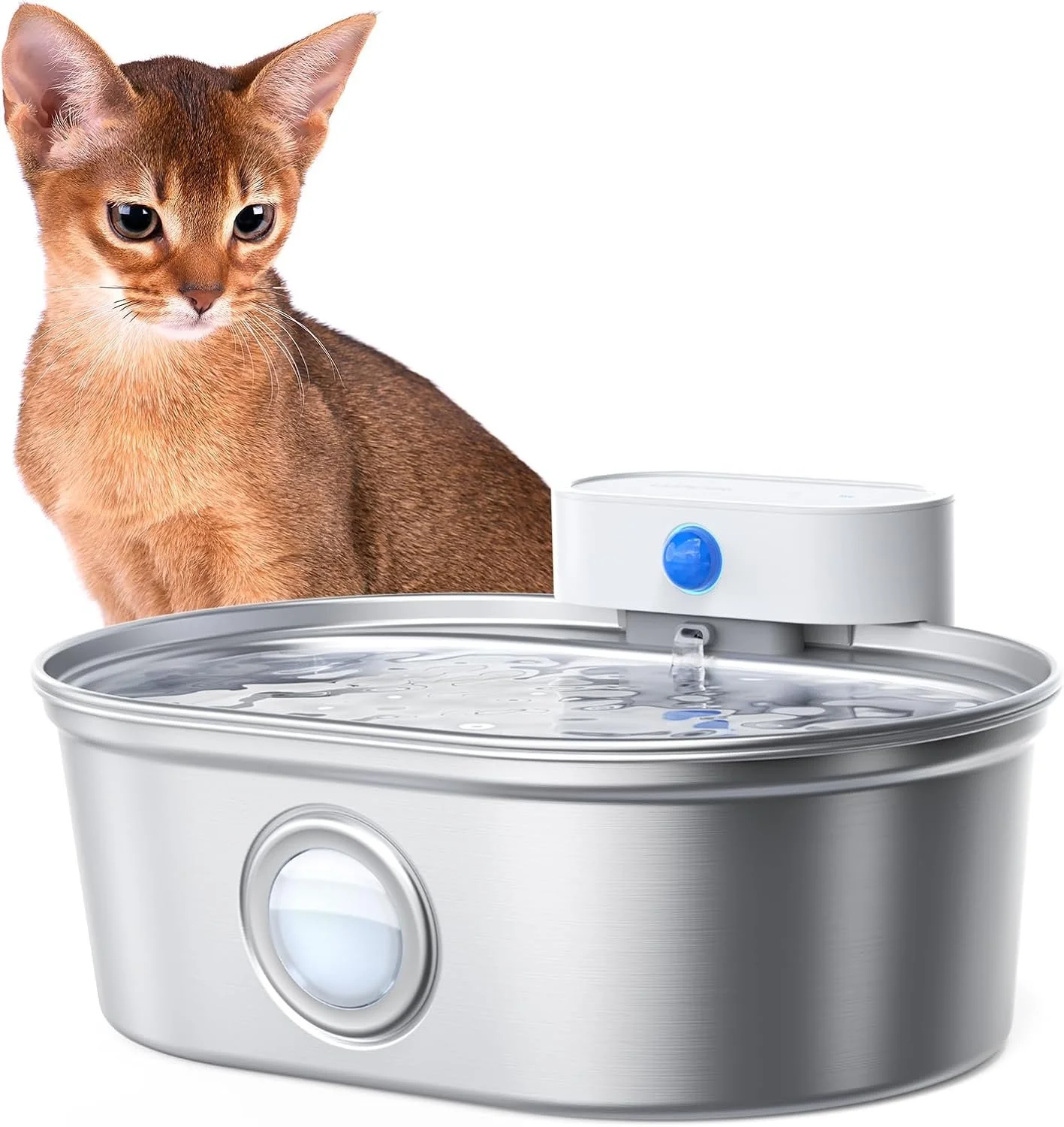water fountain for rabbits