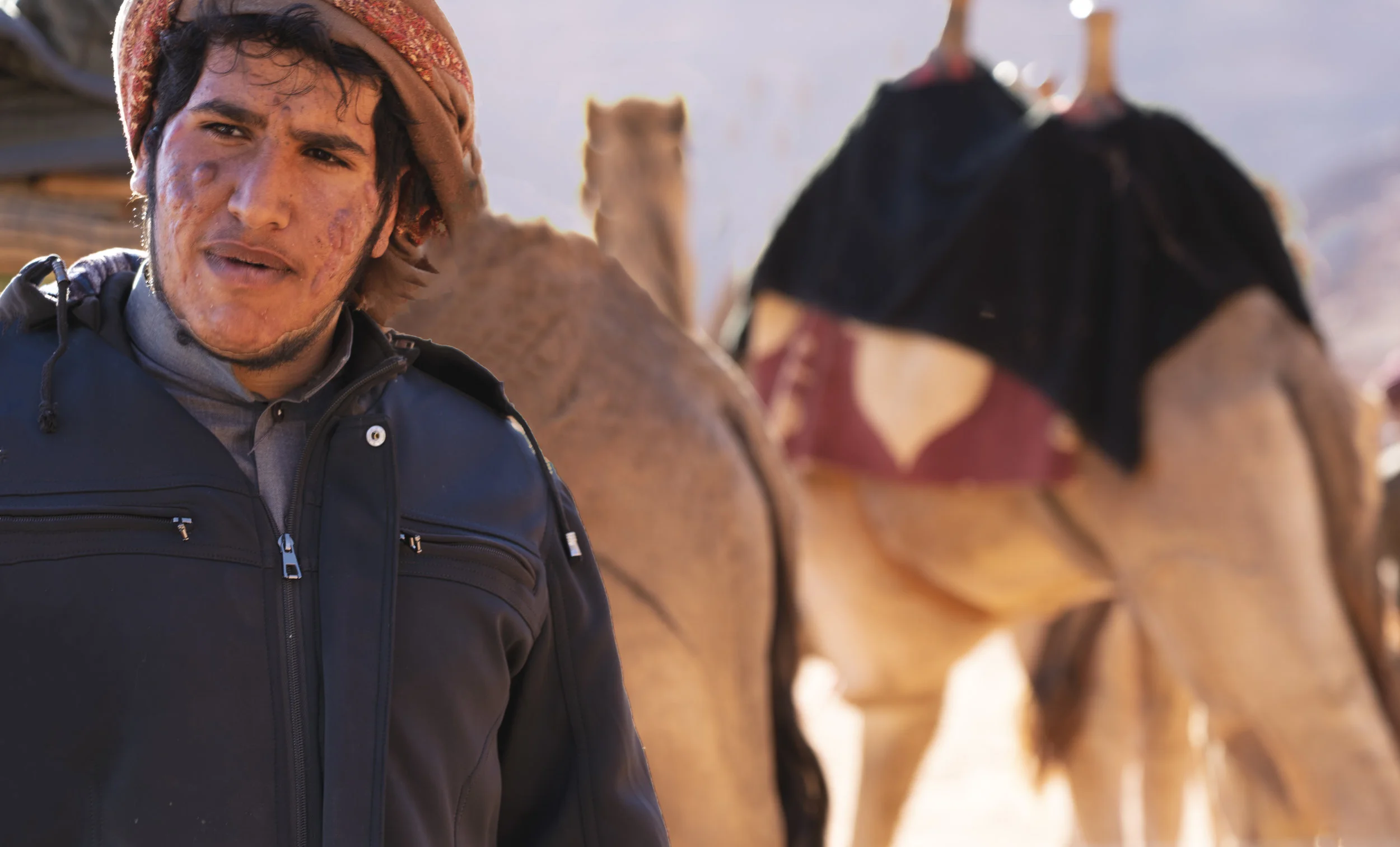 Man and Camels