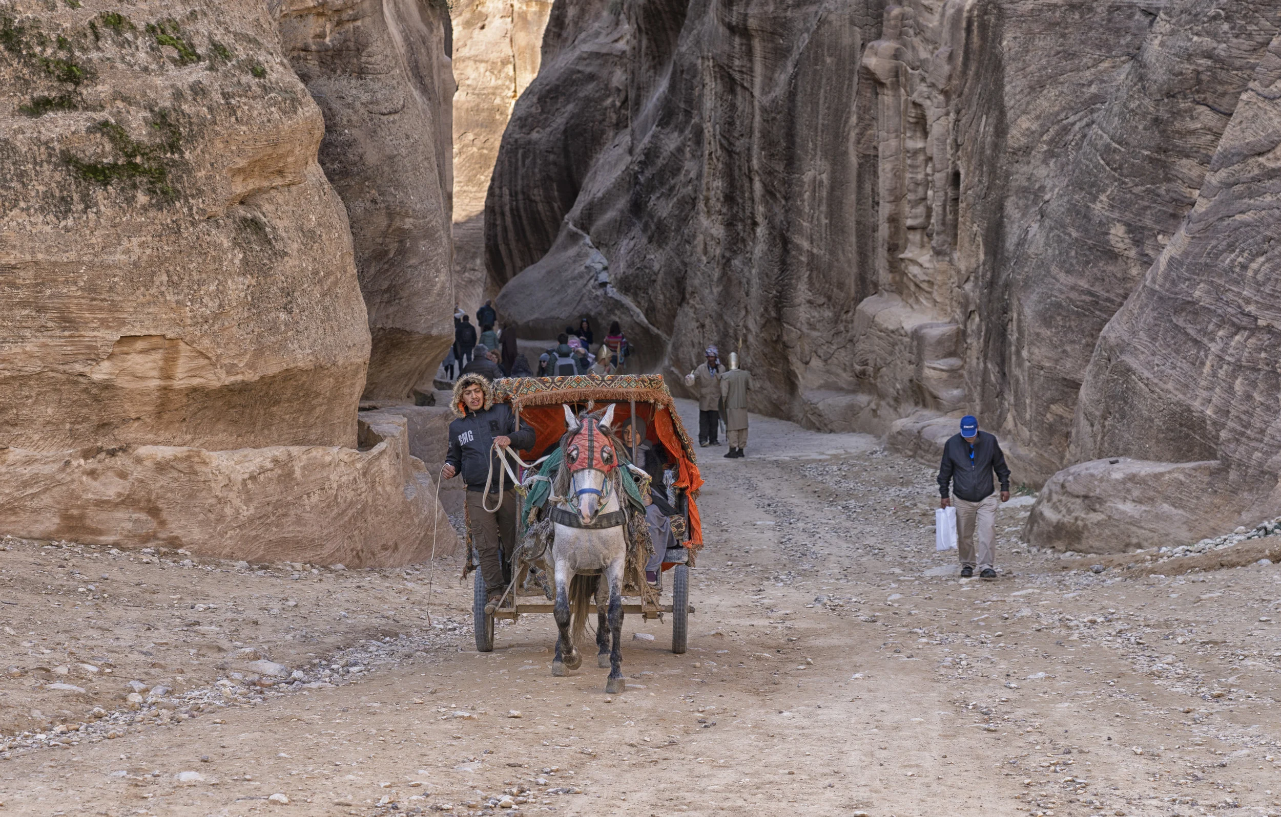 Horse and Buggy