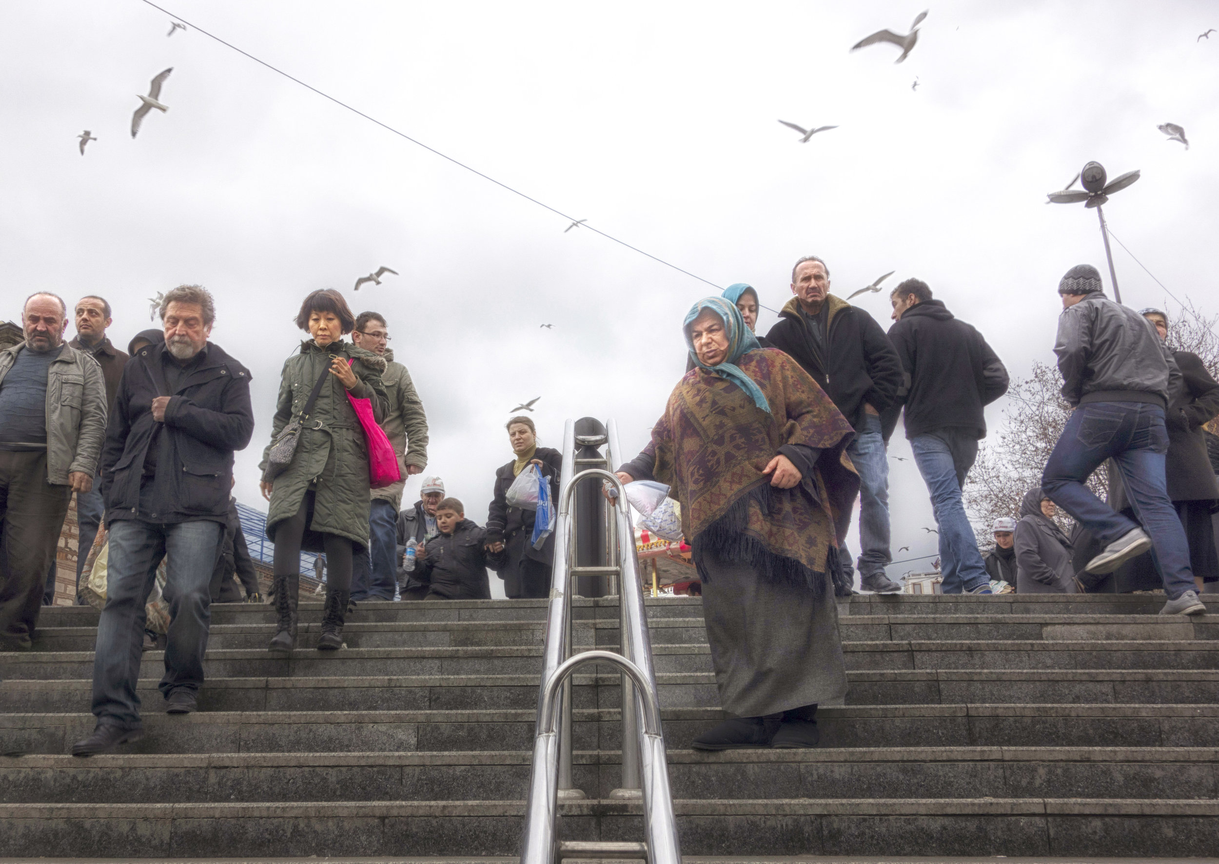 Stairs and Seagulls