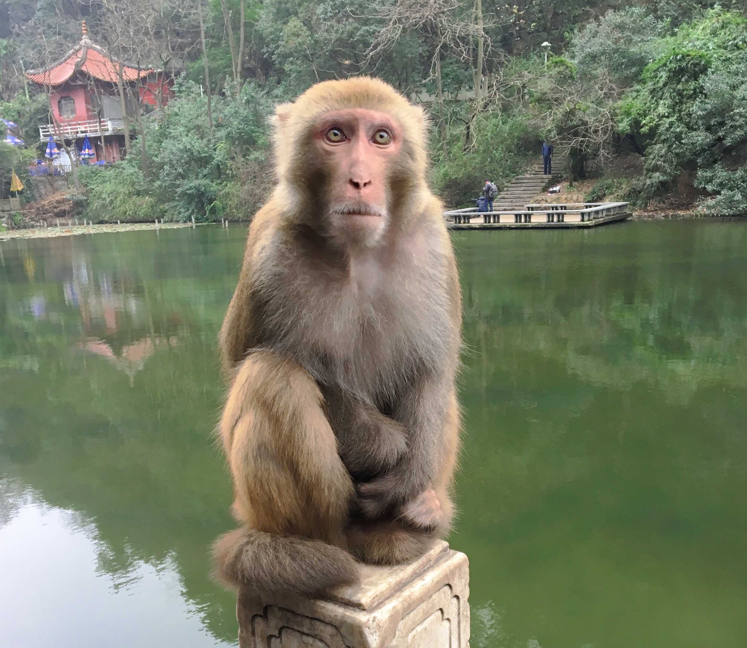 Money Mountain, Guiyang